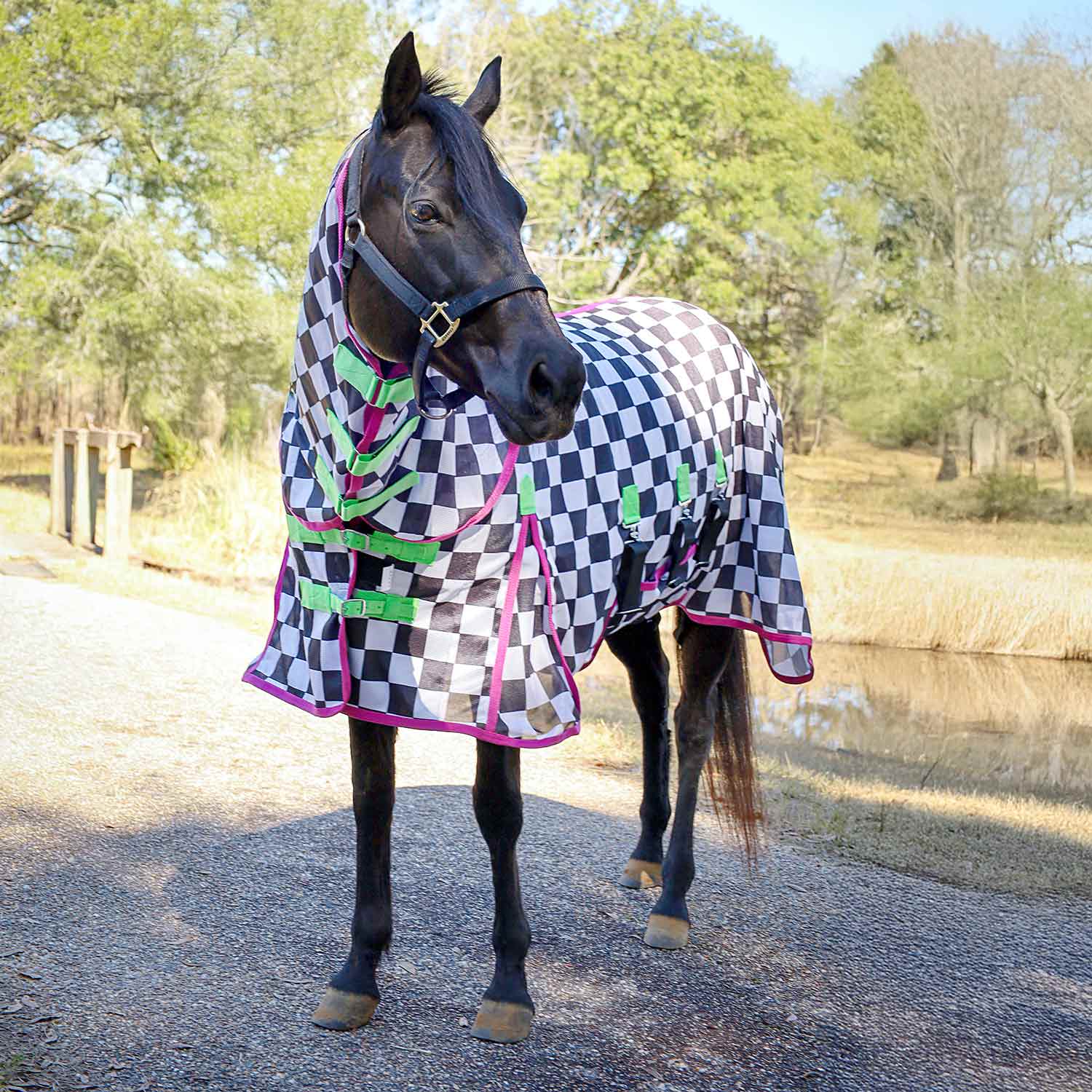Image of Jeffers Expression Softmesh Combo Neck Horse Fly Sheet