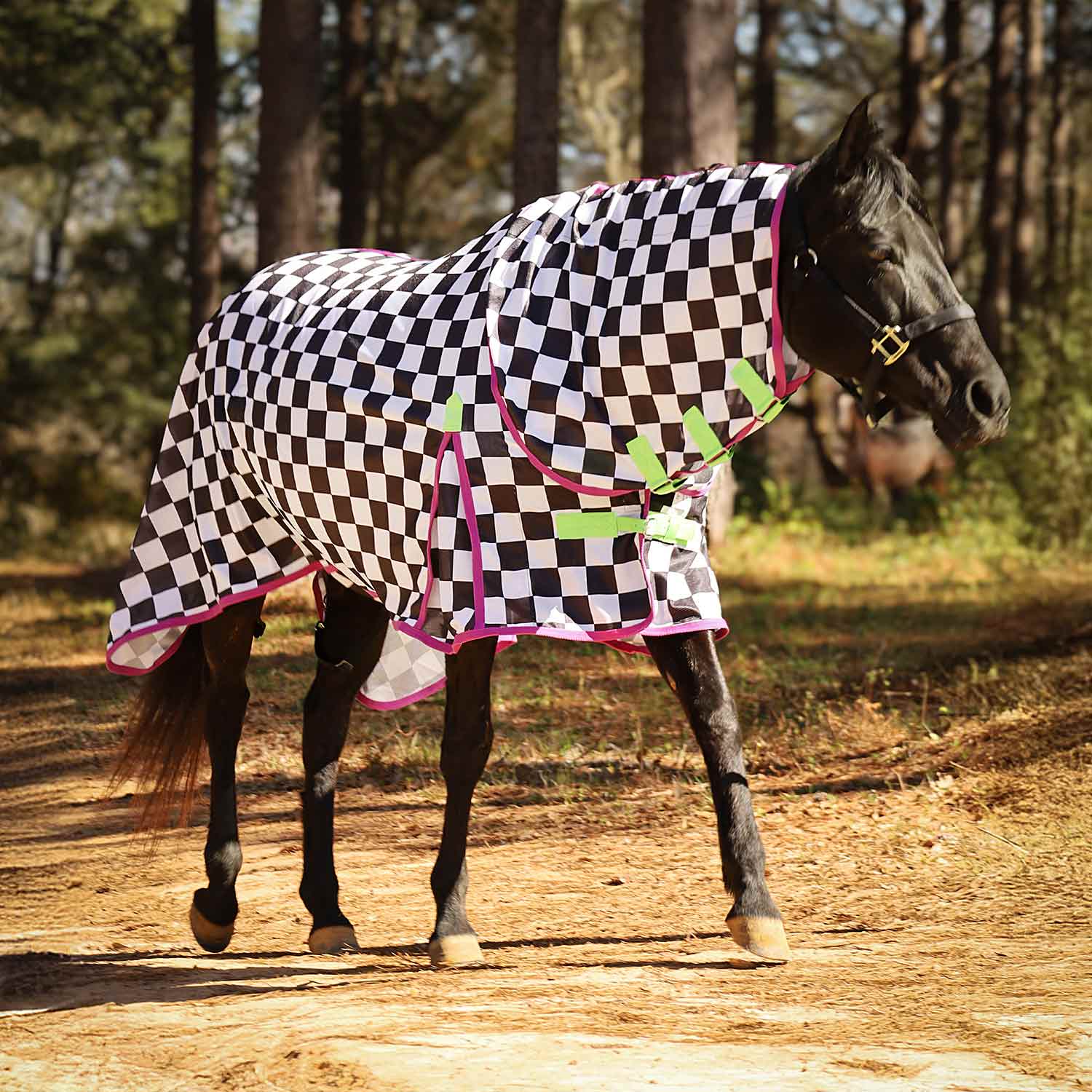 Image of Jeffers Expression Softmesh Combo Neck Horse Fly Sheet