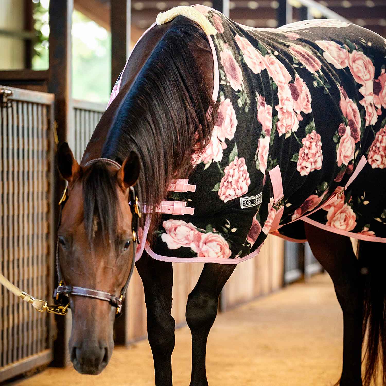 Image of Jeffers Expression Standard Neck Fleece Horse Cooler