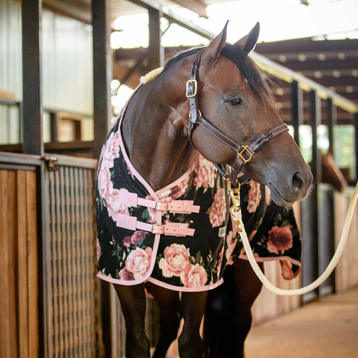 Image of Jeffers Expression Standard Neck Fleece Horse Cooler