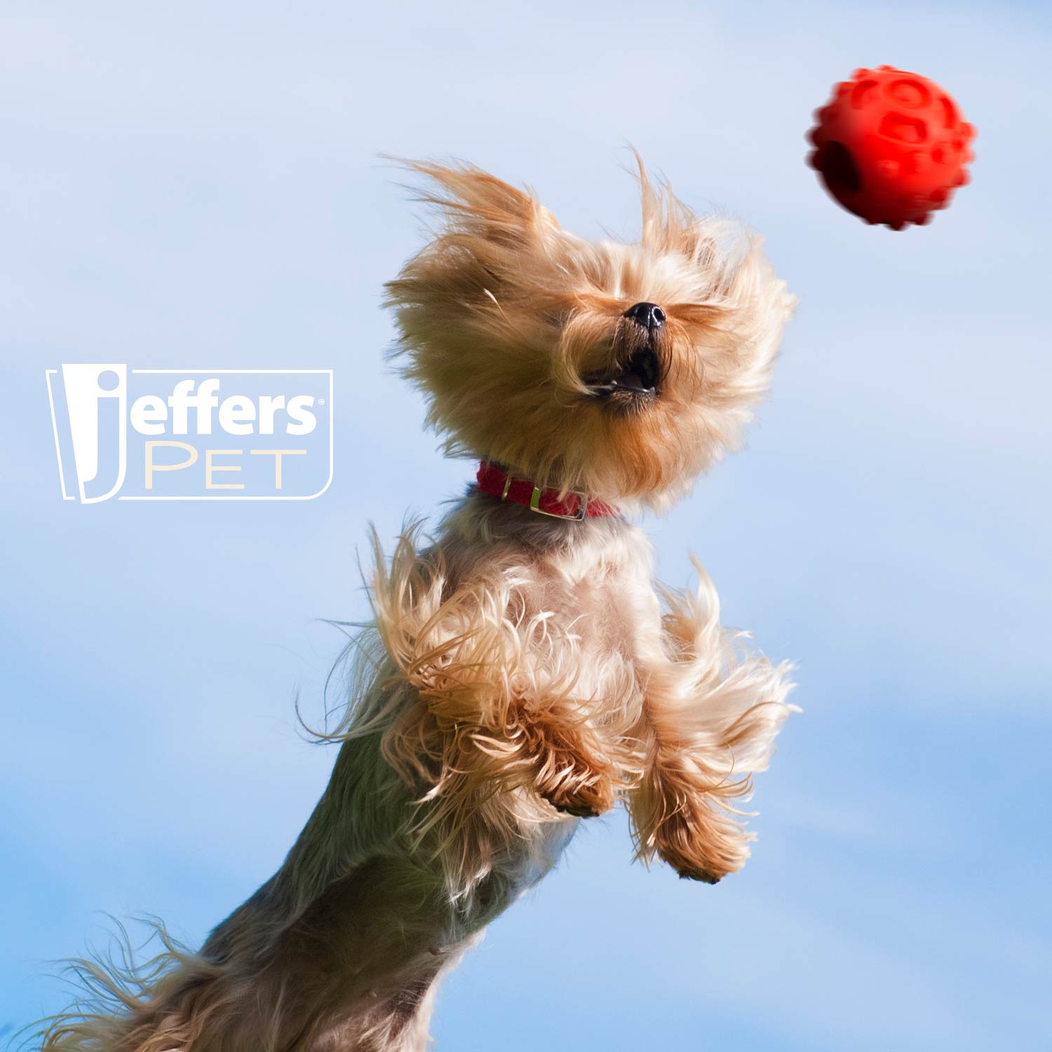 Image of Jeffers Hollow Red Knobby Ball Natural Rubber Dental Treat Dispensing Dog Chew Toy