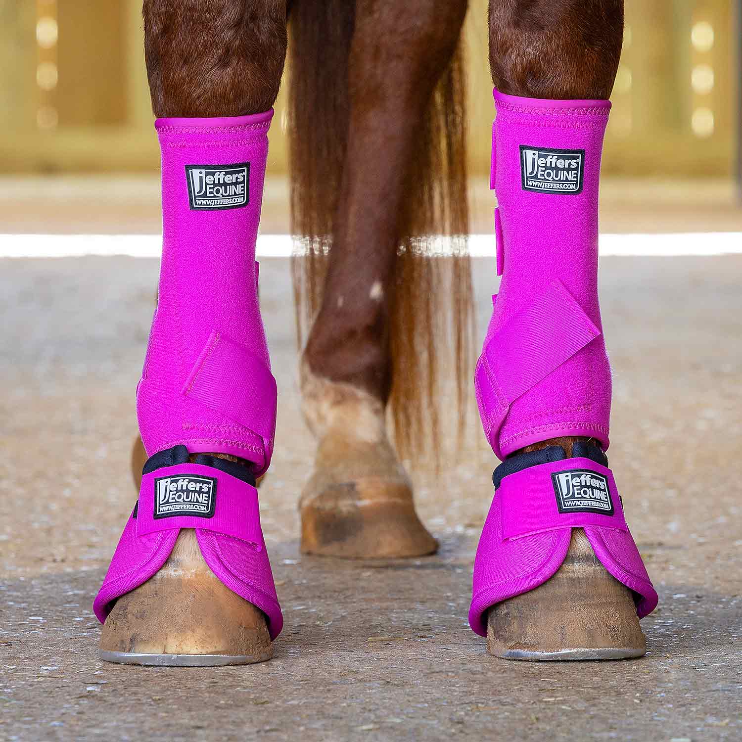 Image of Jeffers Protective Horse Boots, Solid Colors, 2-Pack