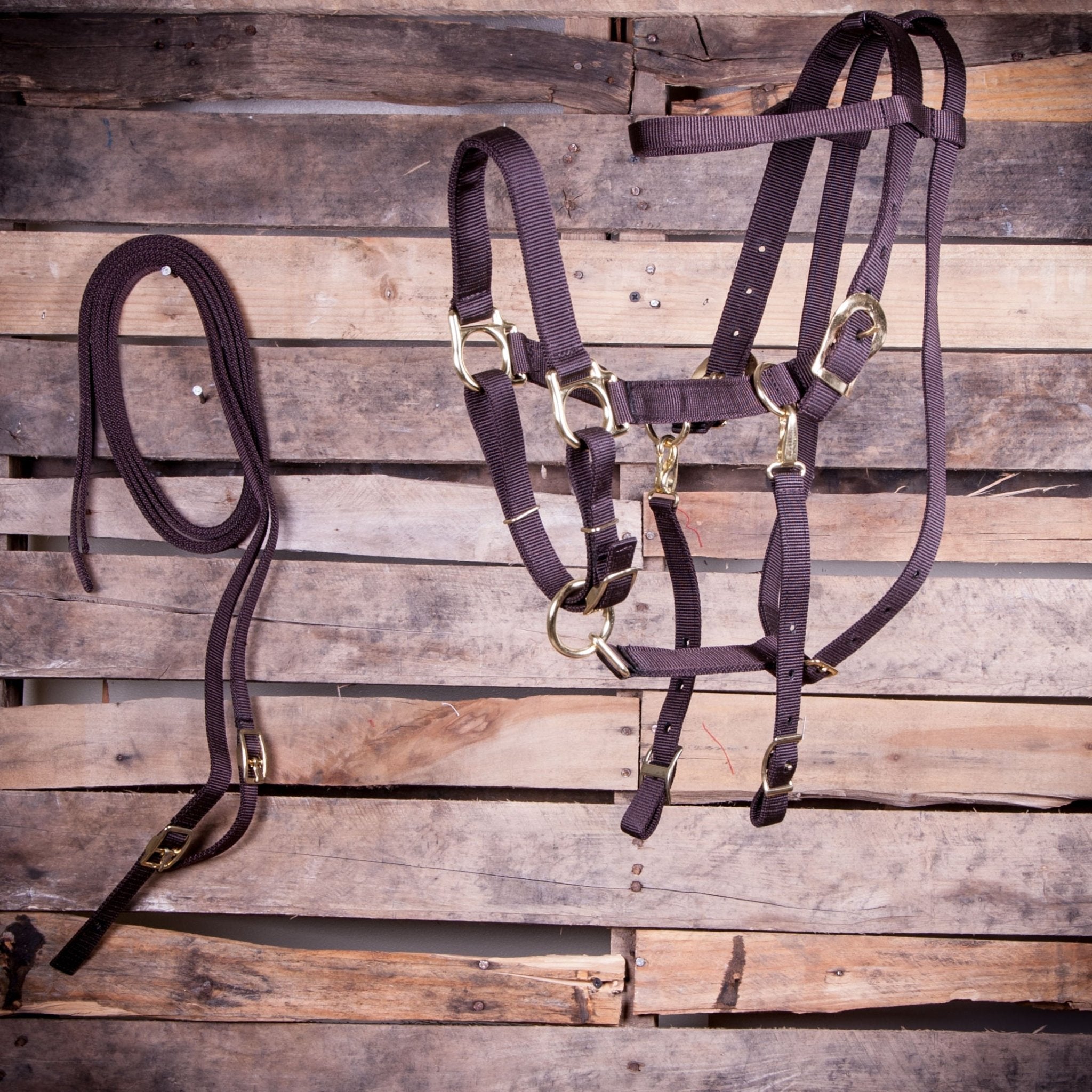 Image of Jeffers Nylon Combination Horse Halter Bridle with Reins