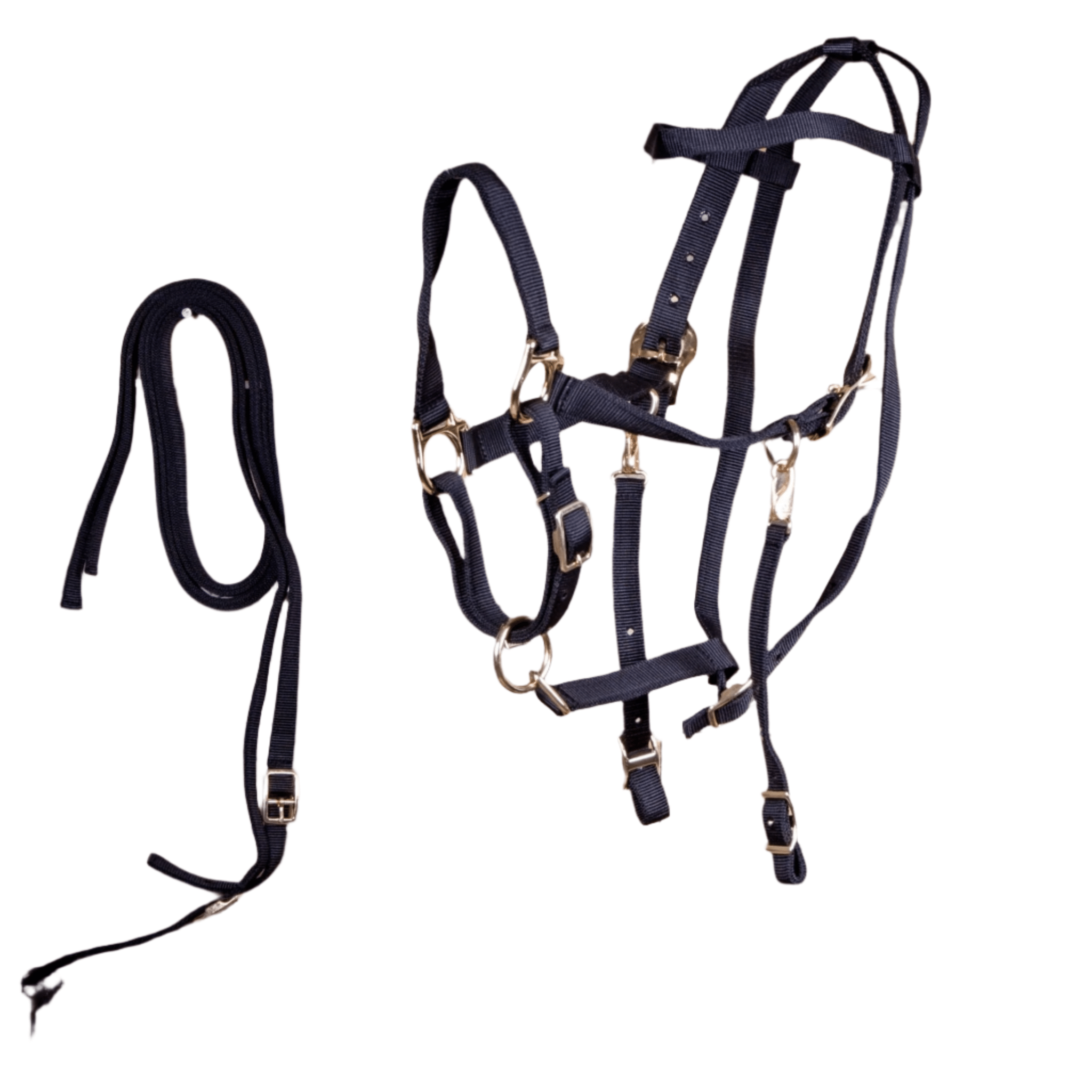 Image of Jeffers Nylon Combination Horse Halter Bridle with Reins