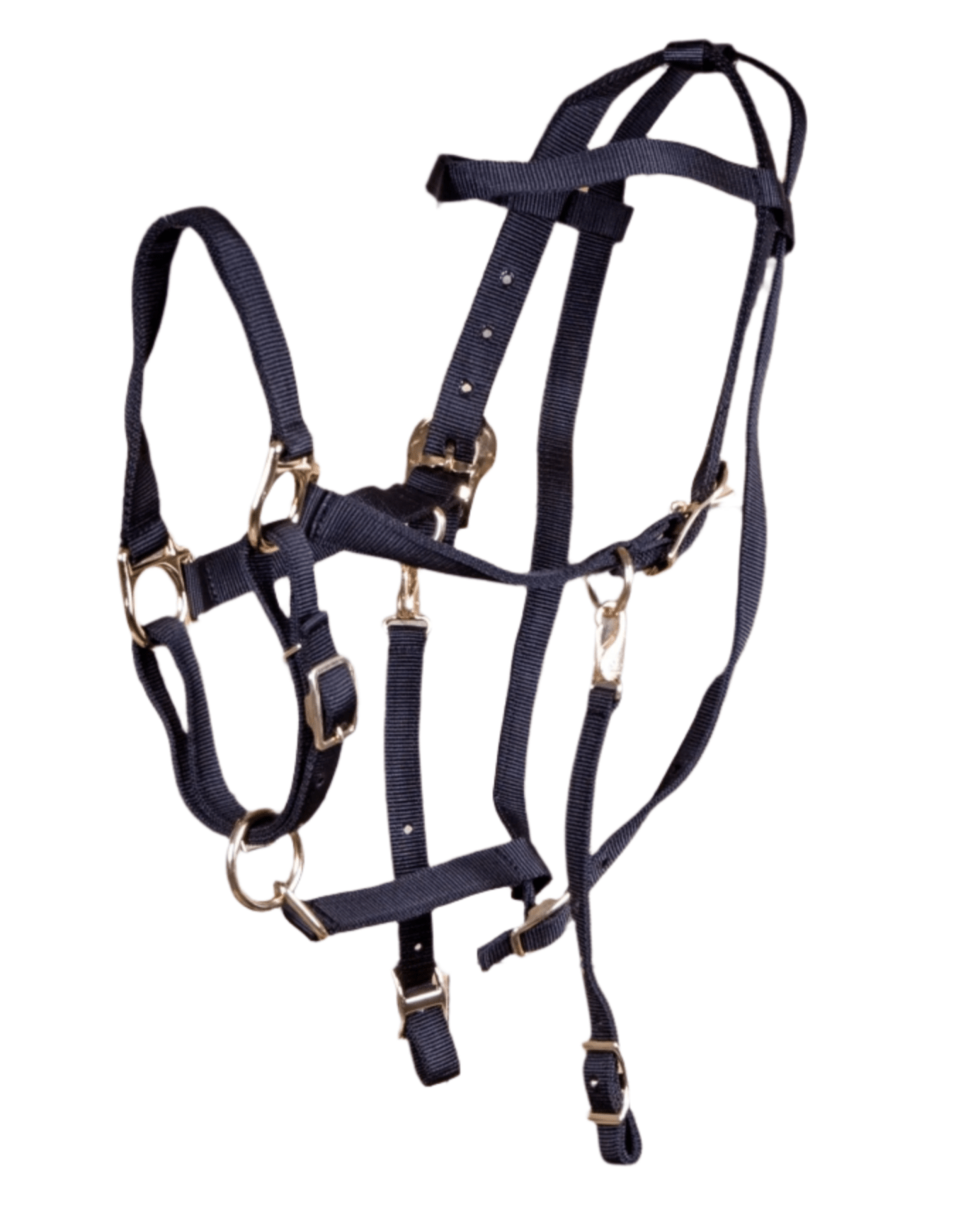 Image of Jeffers Nylon Combination Horse Halter Bridle with Reins