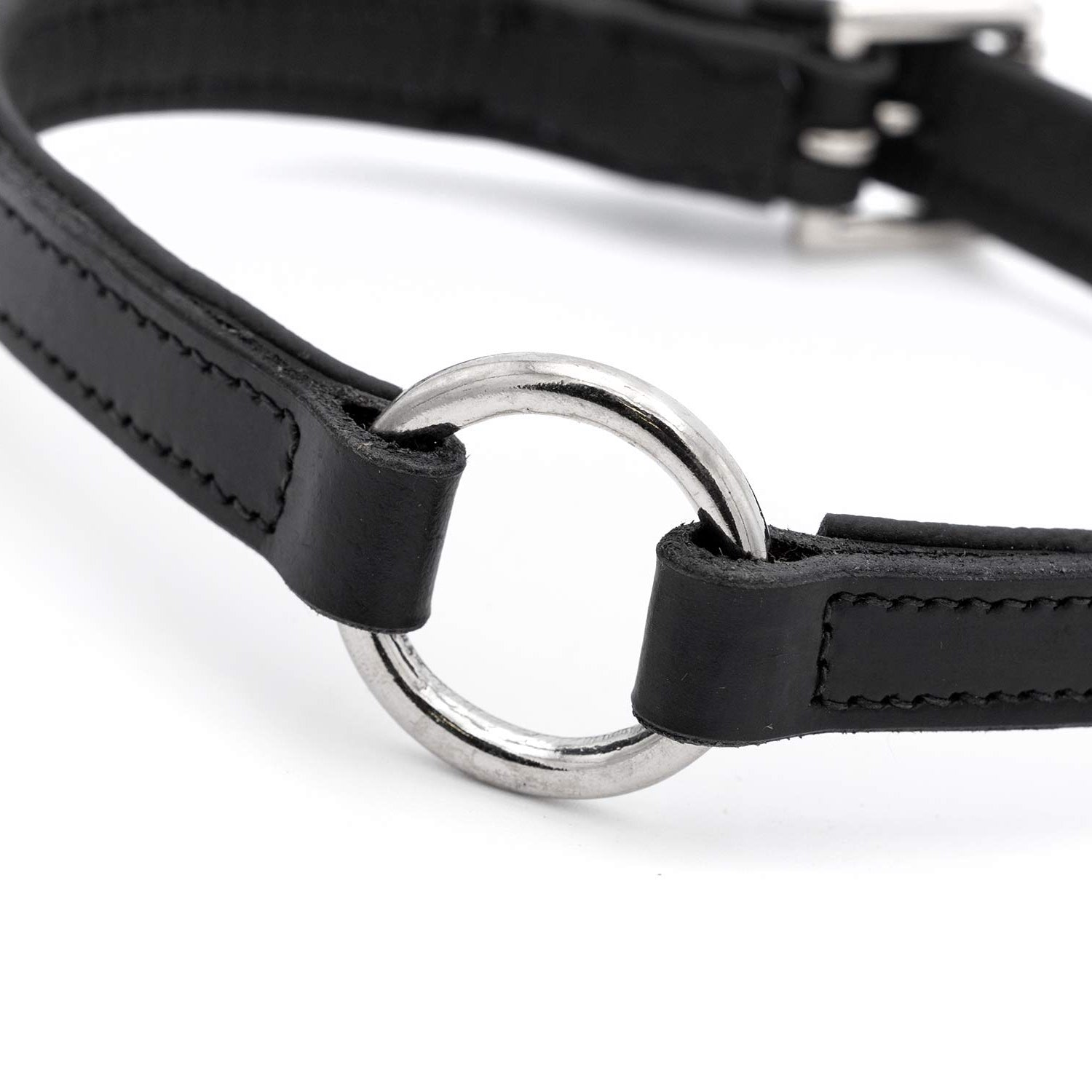 Image of Jeffers Padded Black Leather Dog Collars with O-Ring and Nickel Hardware