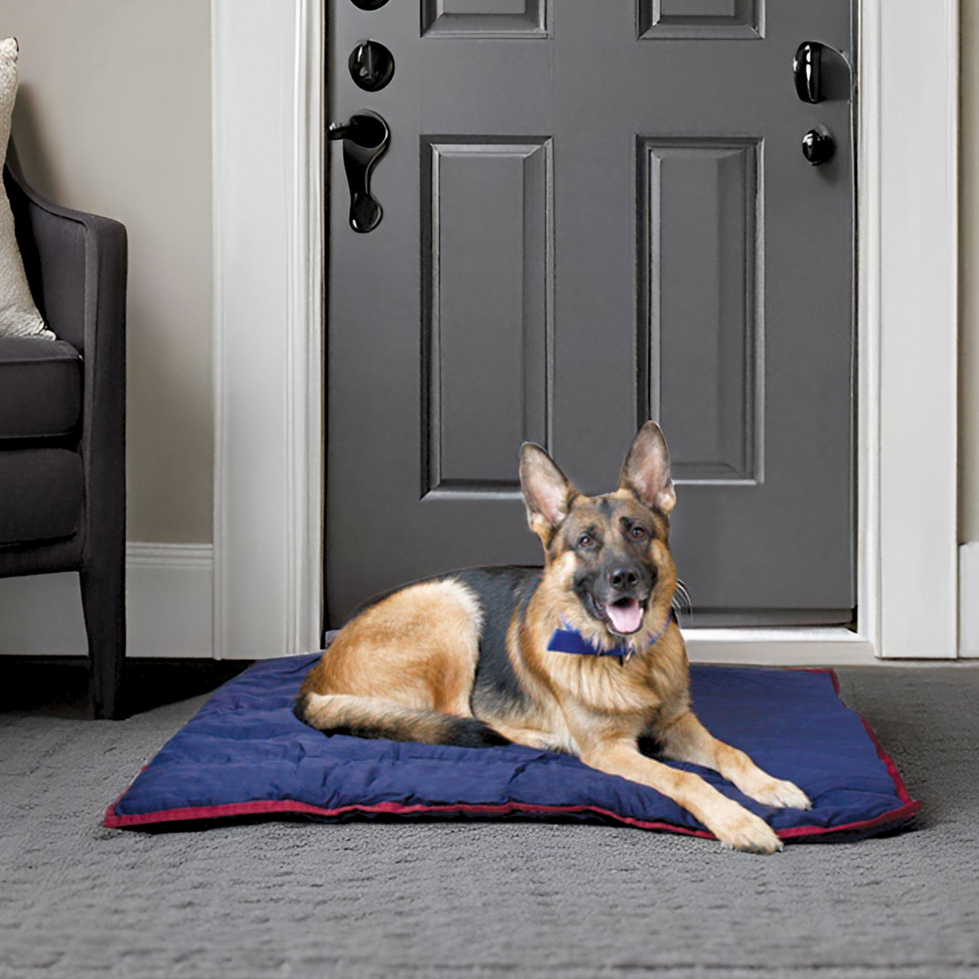 Image of Jeffers Pet Washable Comfy Dog Pillow for Crates, Carriers, or Lounging