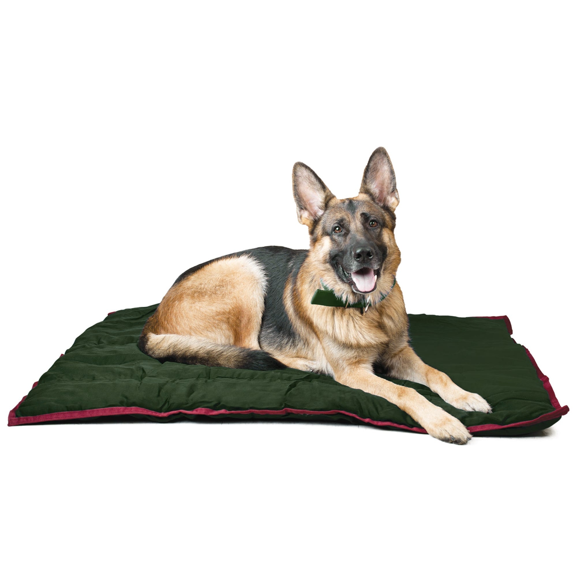 Image of Jeffers Pet Washable Comfy Dog Pillow for Crates, Carriers, or Lounging