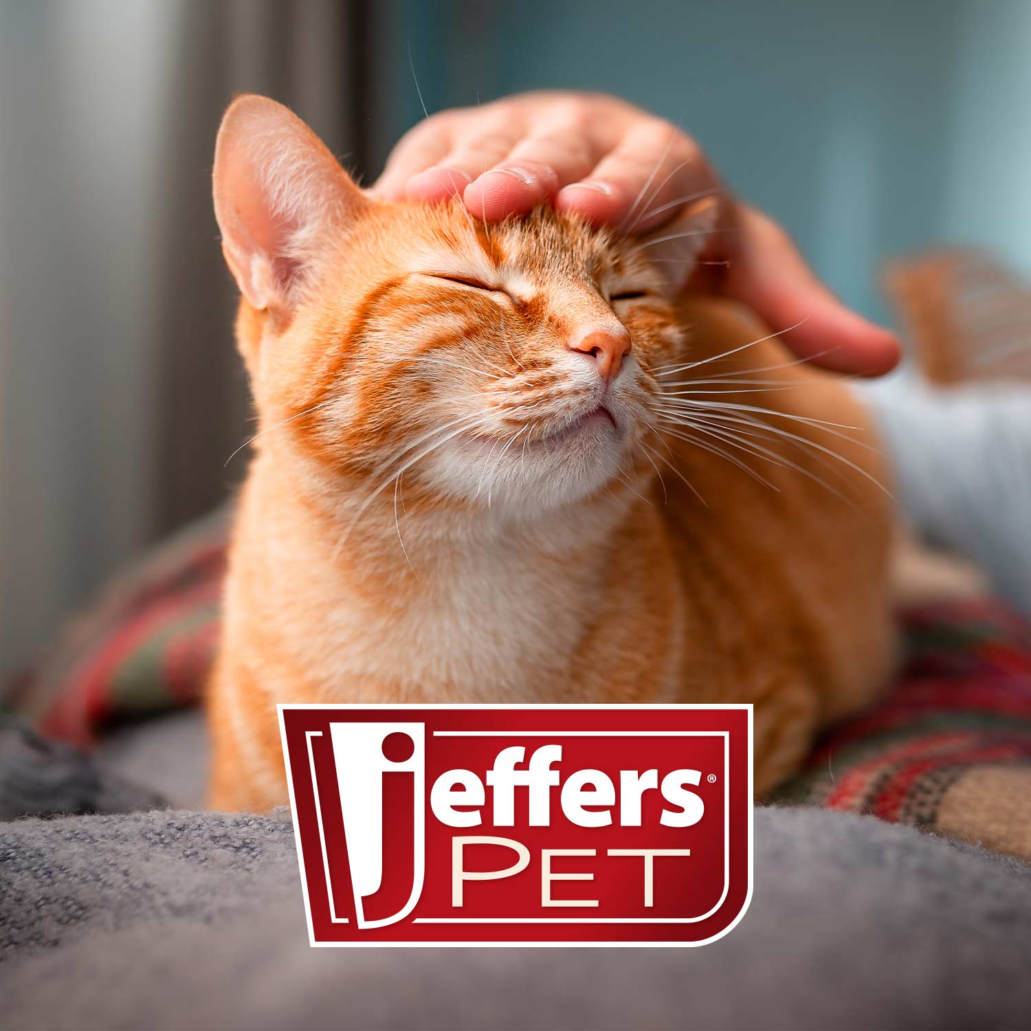 Image of Jeffers Pet Vanilla Walnut Exfoliating Dog & Cat Conditioning Shampoo