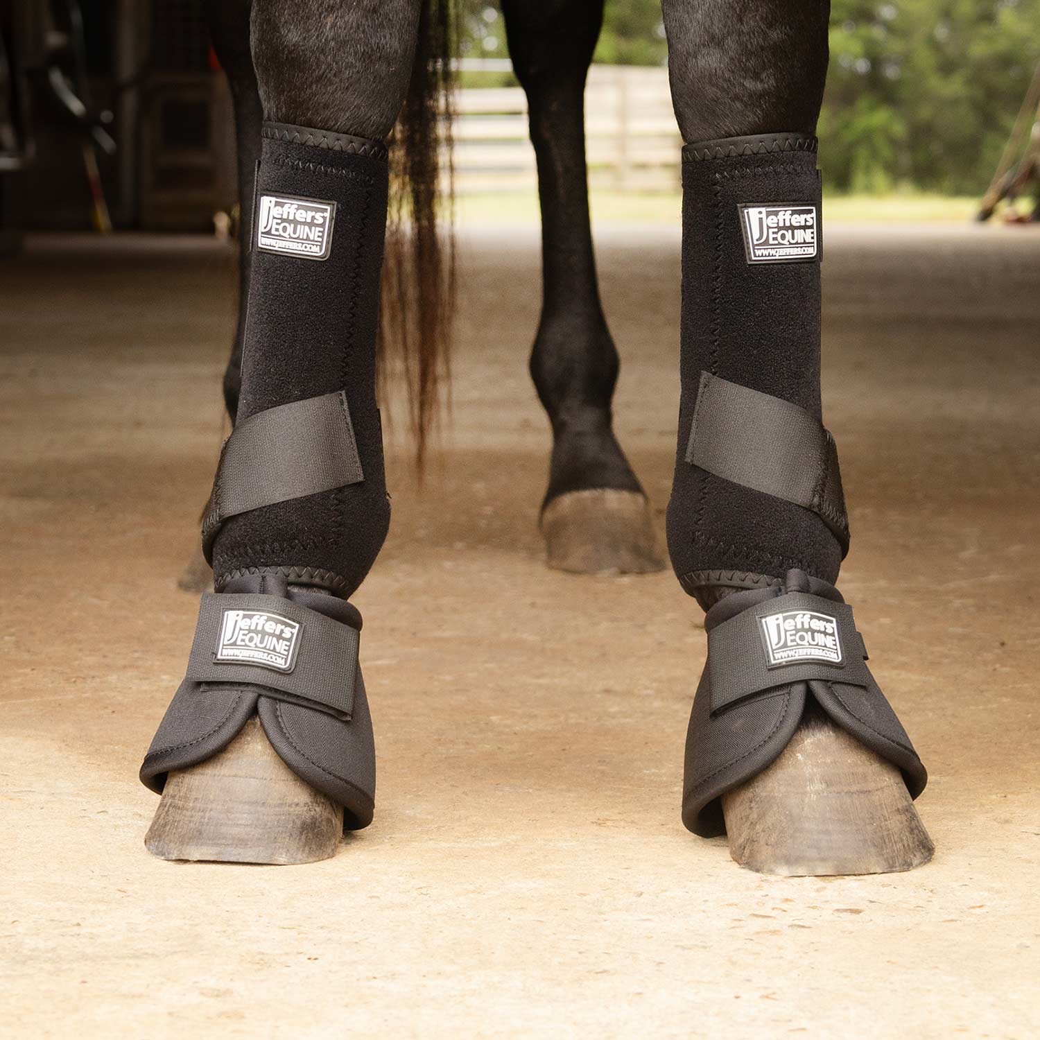 Image of Jeffers Protective Horse Boots, Solid Colors, 2-Pack