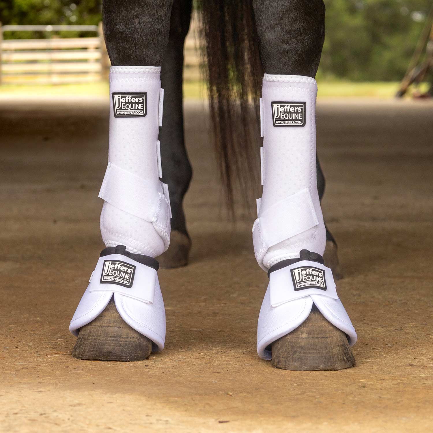 Image of Jeffers Protective Horse Boots, Solid Colors, 2-Pack