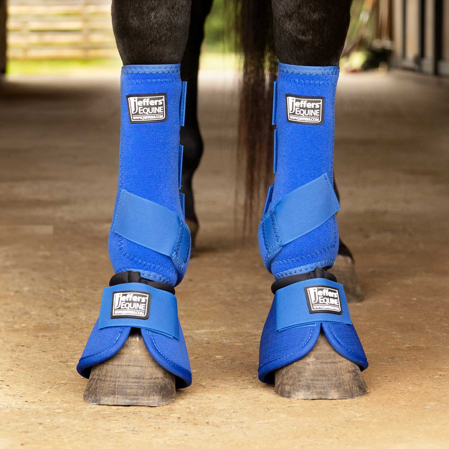 Image of Jeffers Protective Horse Boots, Solid Colors, 2-Pack