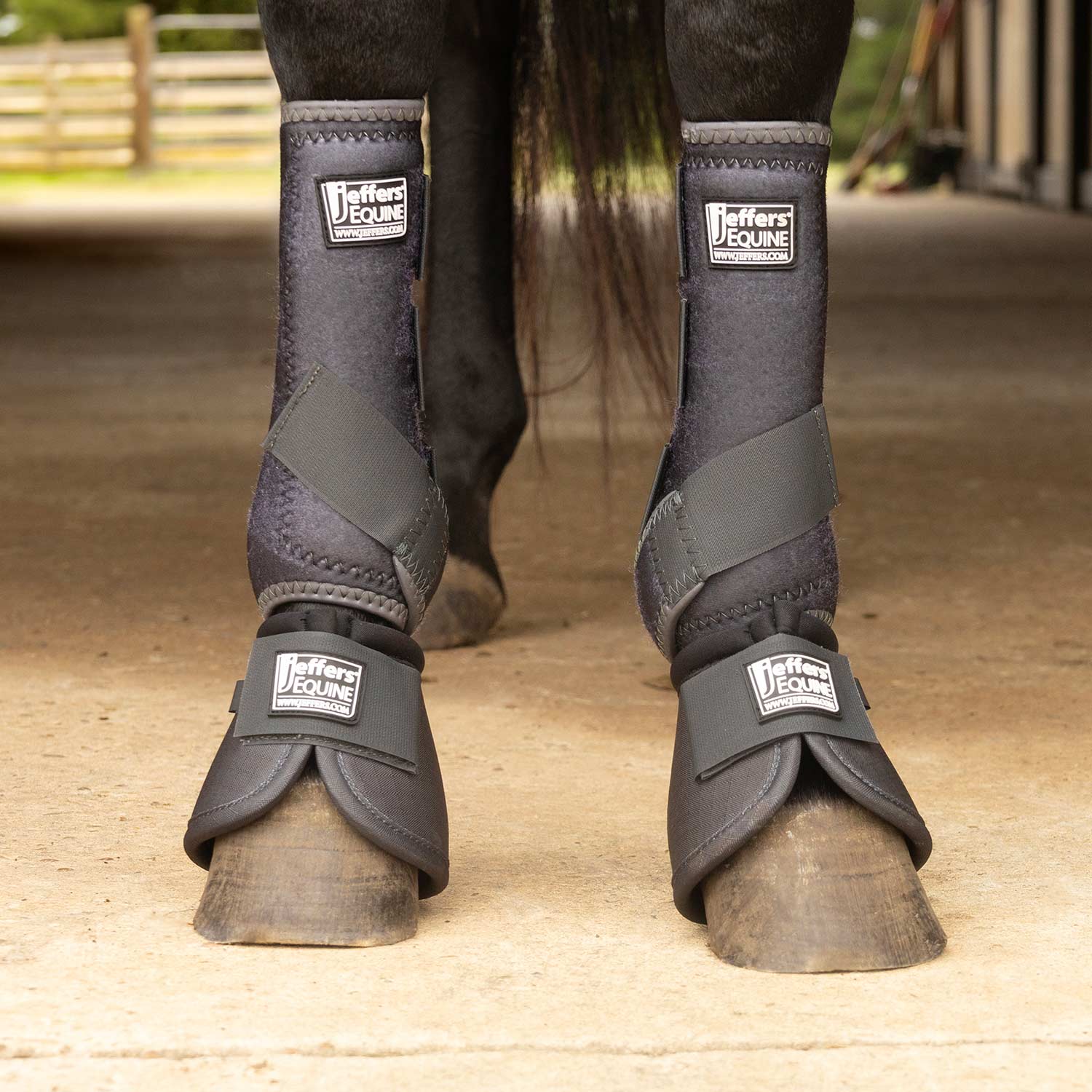 Image of Jeffers Protective Horse Boots, Solid Colors, 2-Pack
