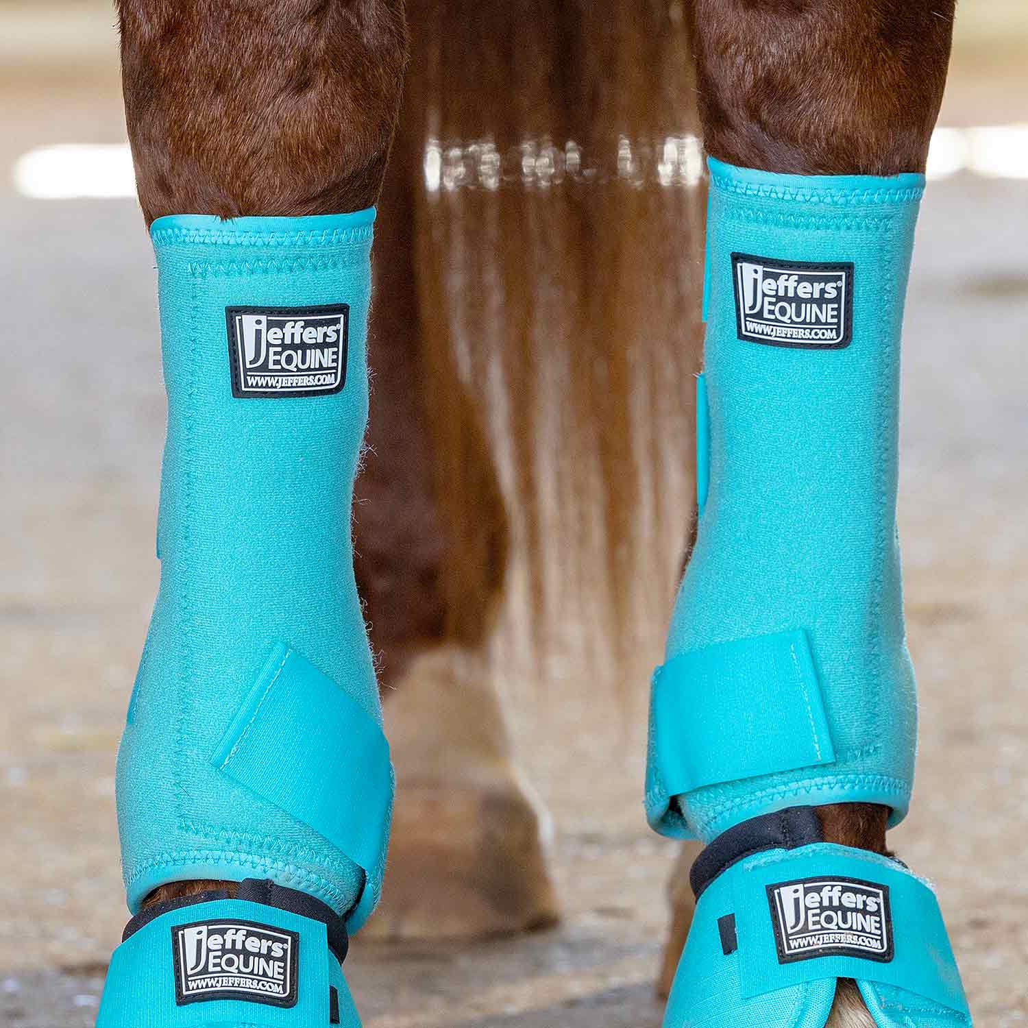 Image of Jeffers Protective Horse Boots, Solid Colors, 2-Pack