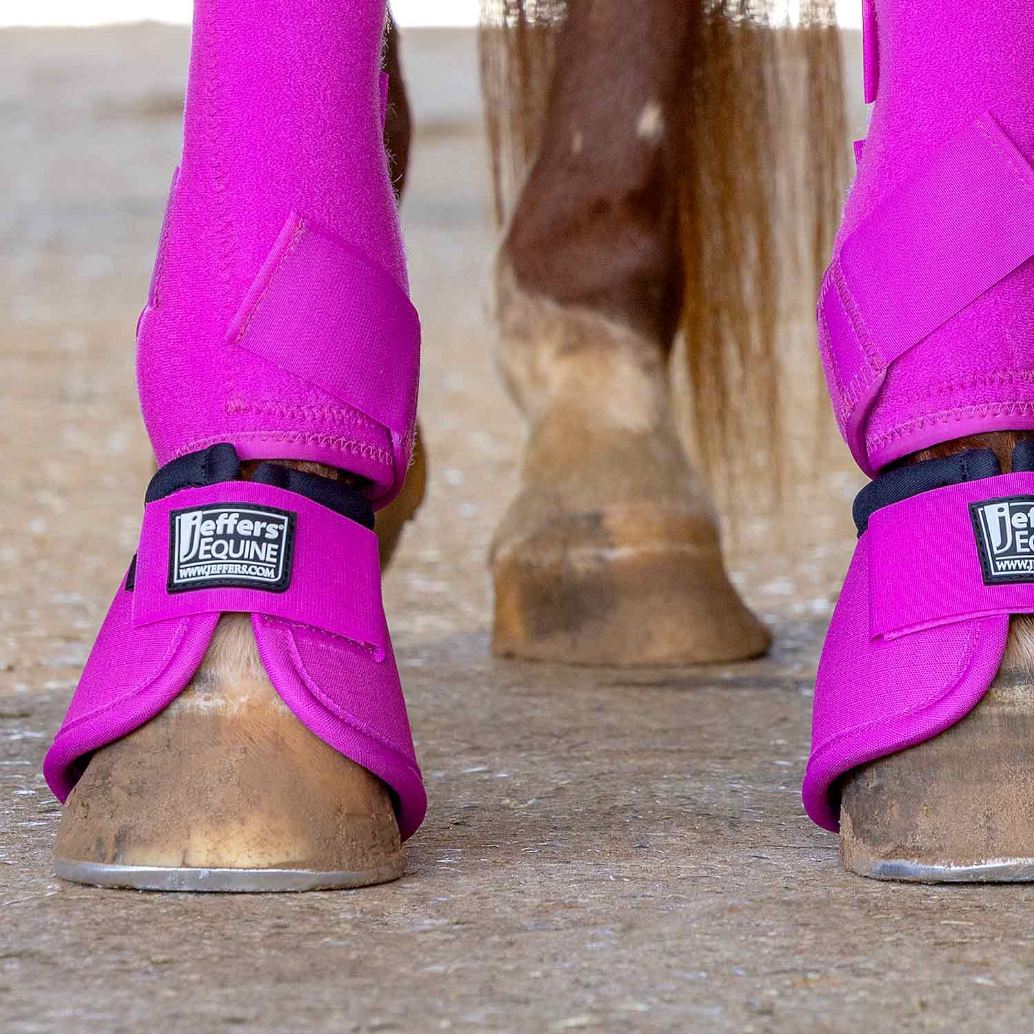 Image of Jeffers Protective Horse Boots, Solid Colors, 2-Pack