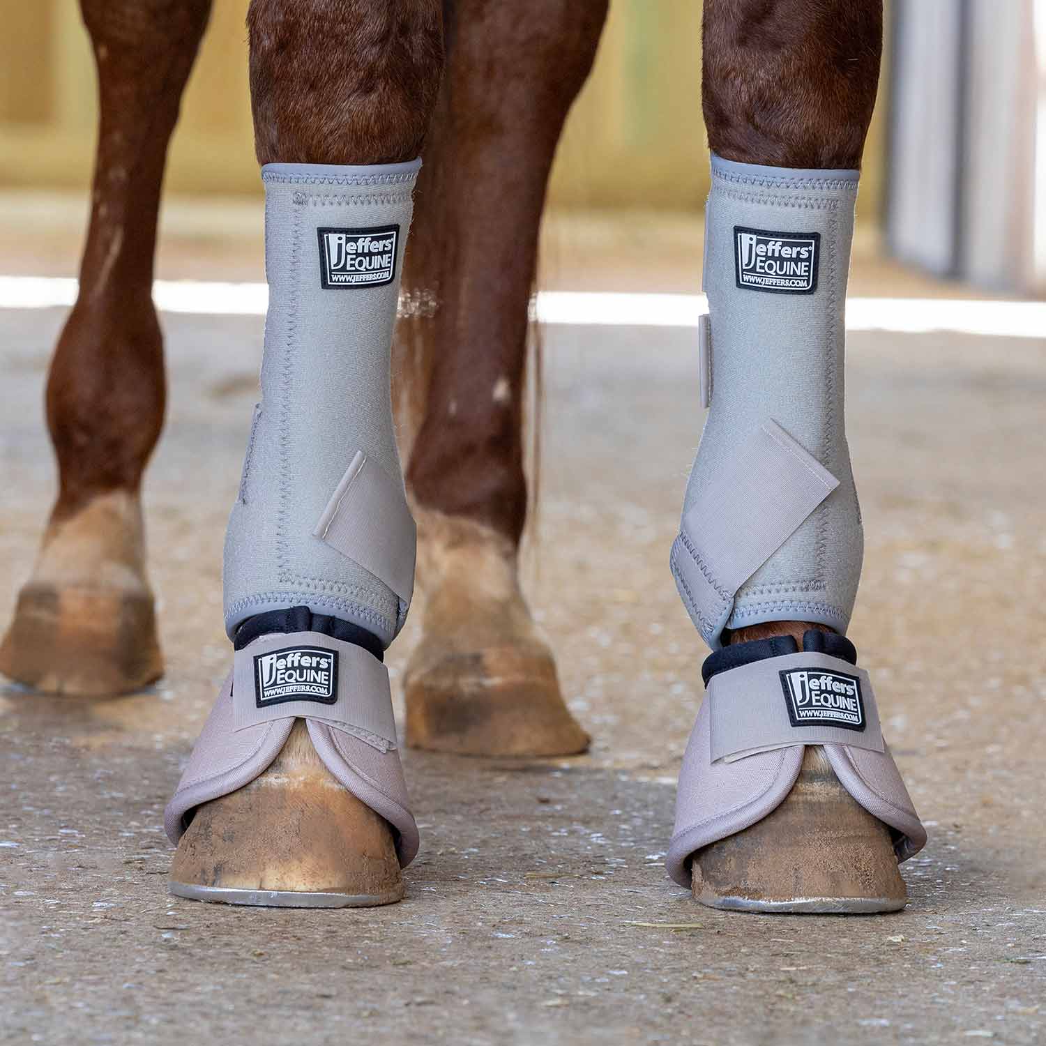 Image of Jeffers Protective Horse Boots, Solid Colors, 2-Pack