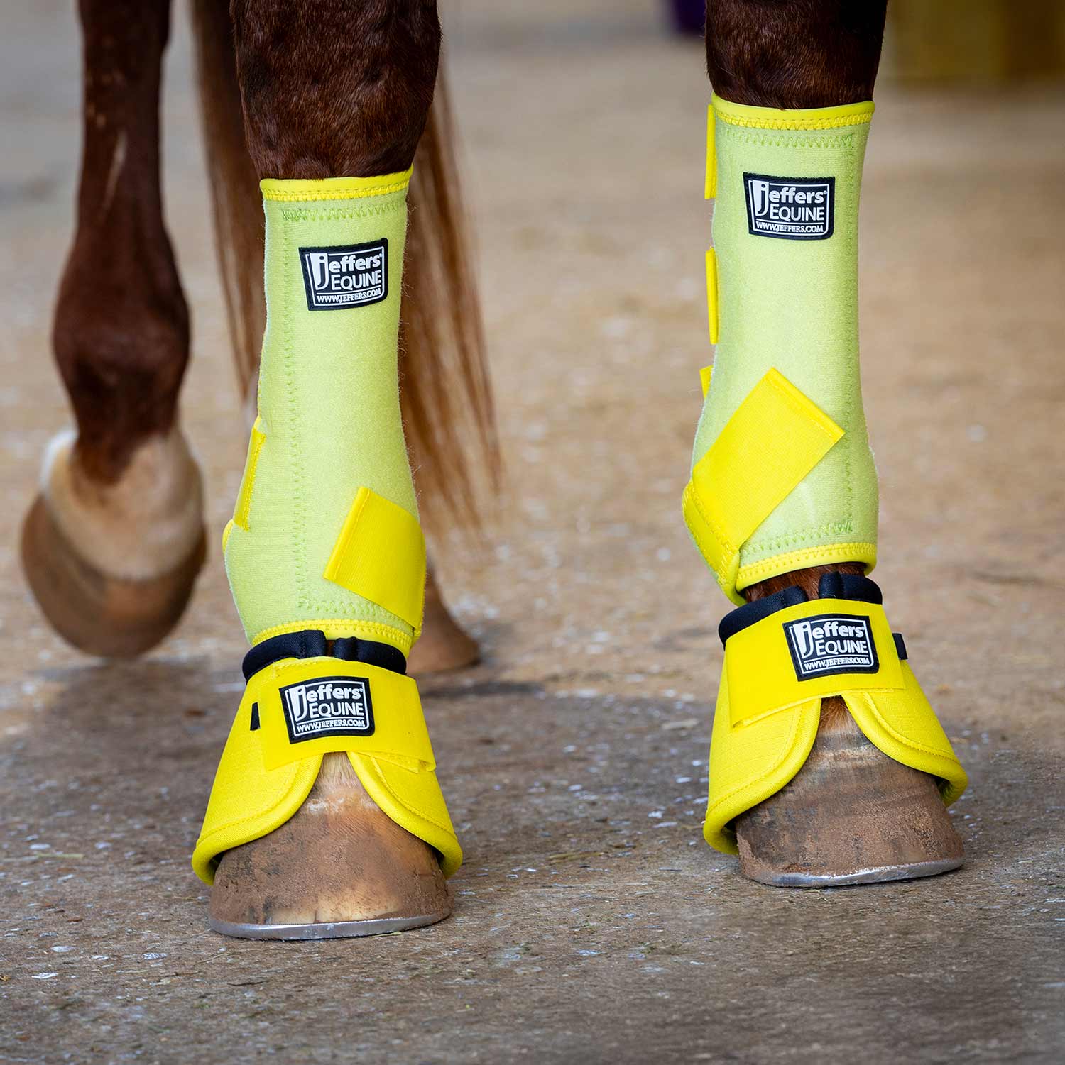 Image of Jeffers Protective Horse Boots, Solid Colors, 2-Pack