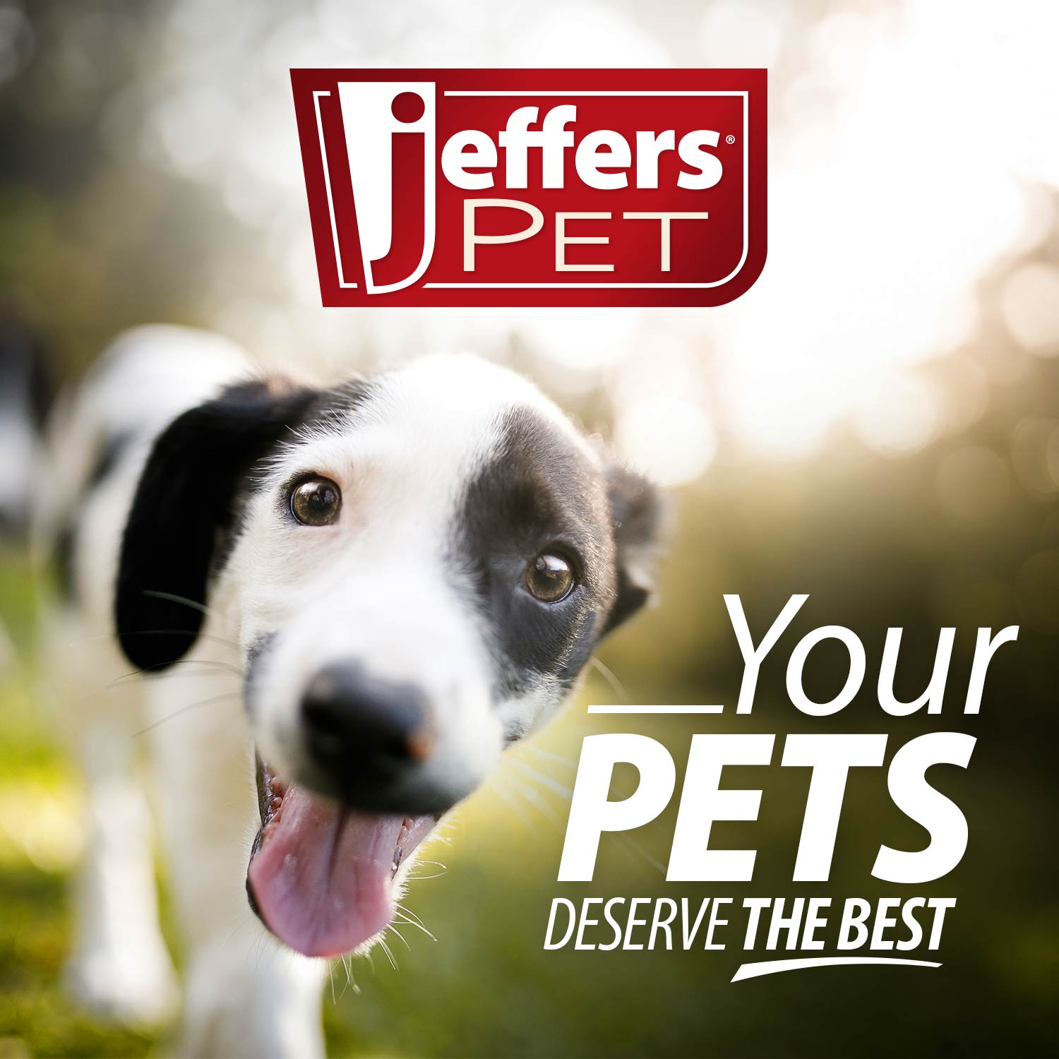 Image of Jeffers Reflective Hound Series Nylon Dog Leash, 4 ft Long