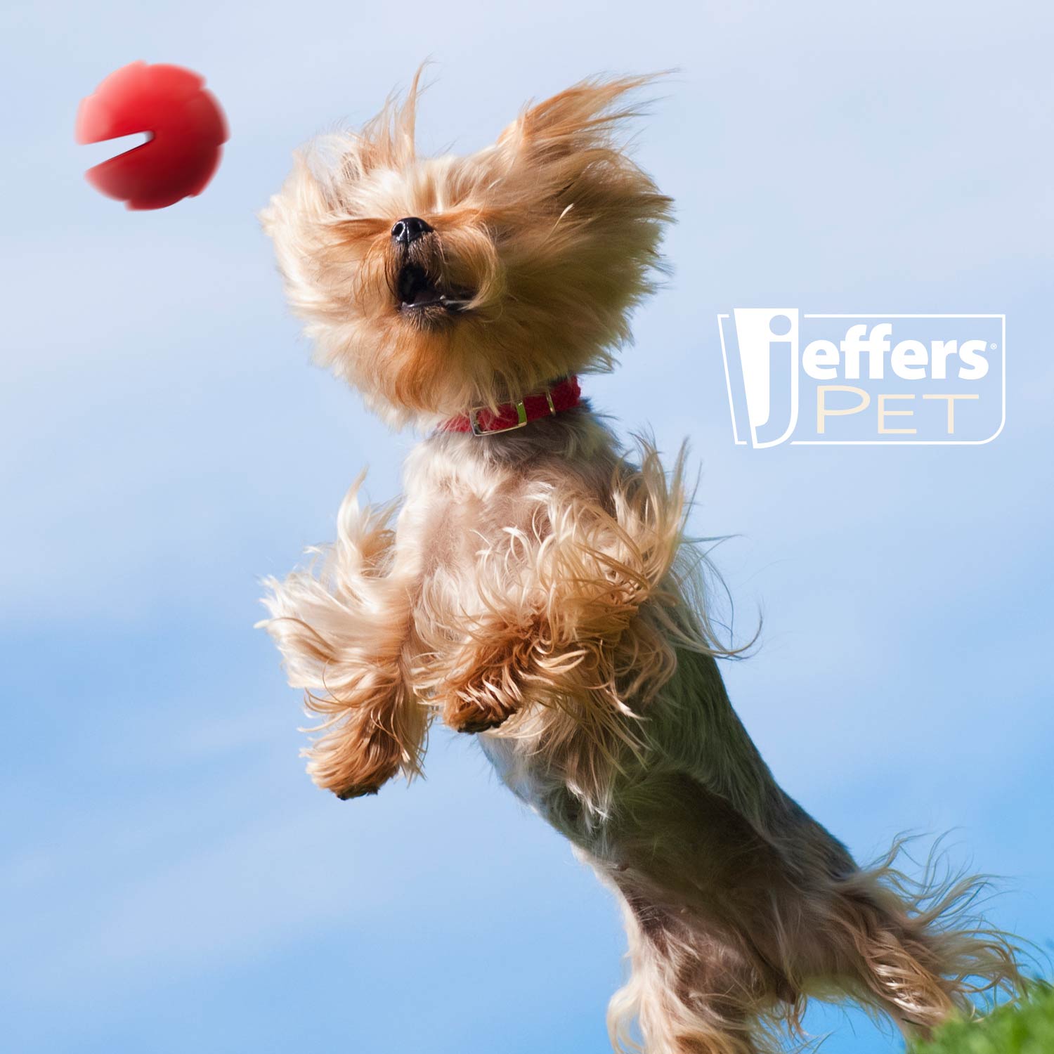 Image of Jeffers Red Millipede Natural Rubber Treat Dispensing Dental Dog Chew Toy
