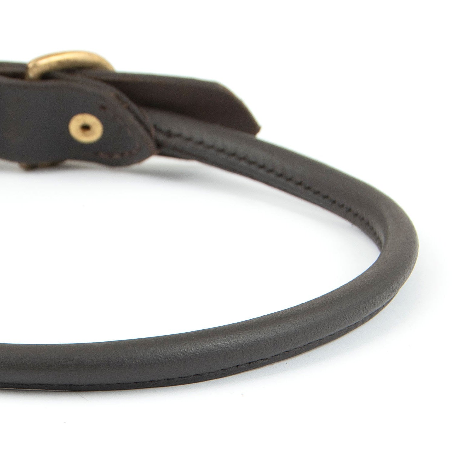 Image of Jeffers Rolled Leather Dog Collars with Brass Hardware