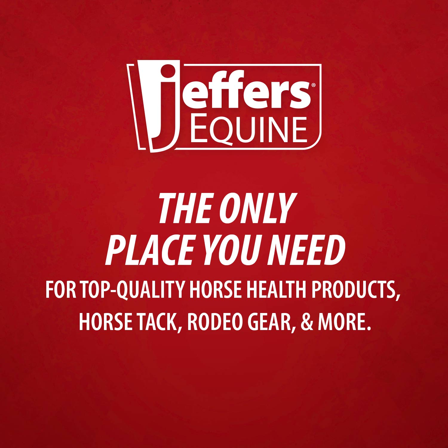 Image of Jeffers Solaris Horse Fly Sheet with Detachable Neck, Grey & Red