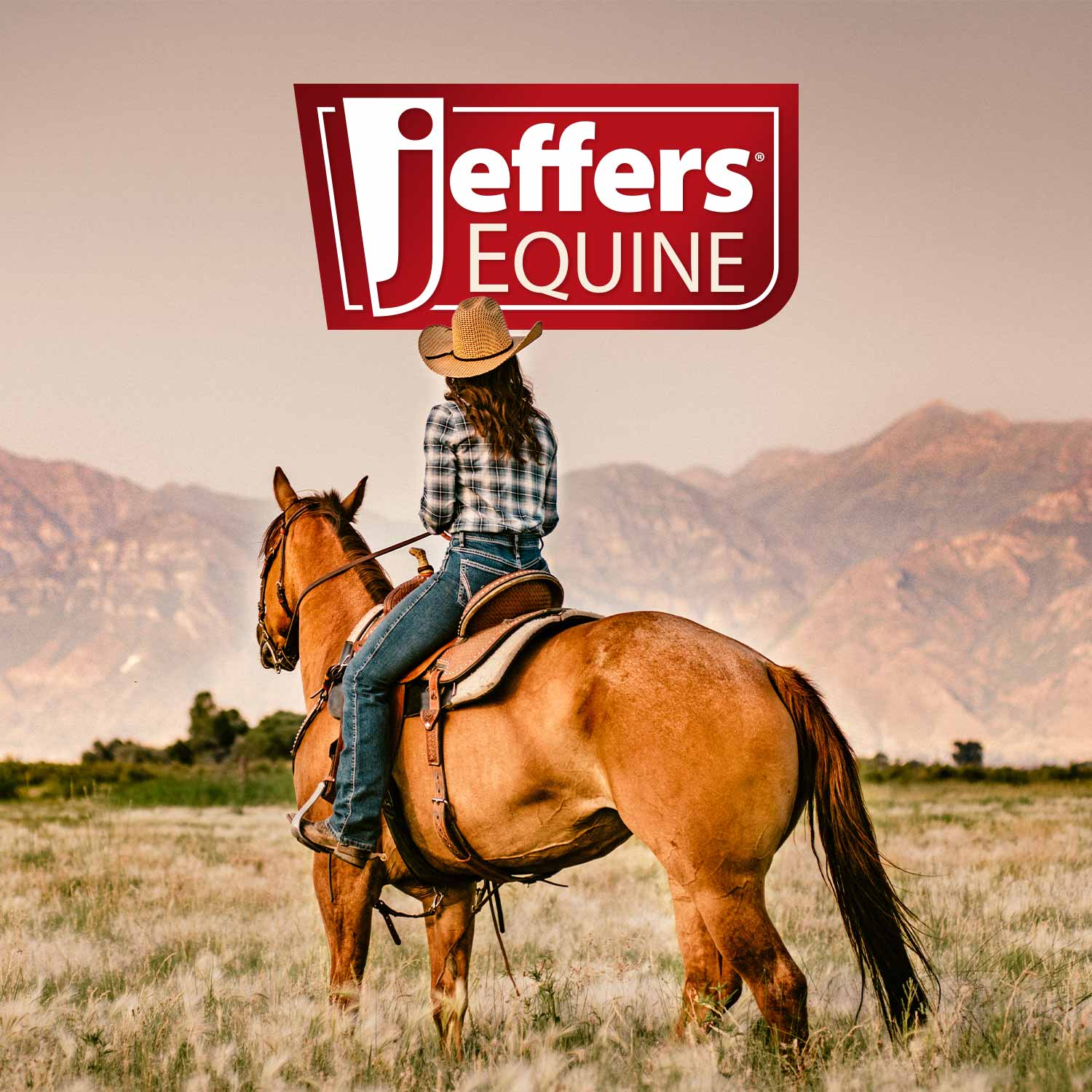 Image of Jeffers Stainless Steel Sharp Grooming Scissors for Horses – Mane, Tail & Braiding Trimming Tool