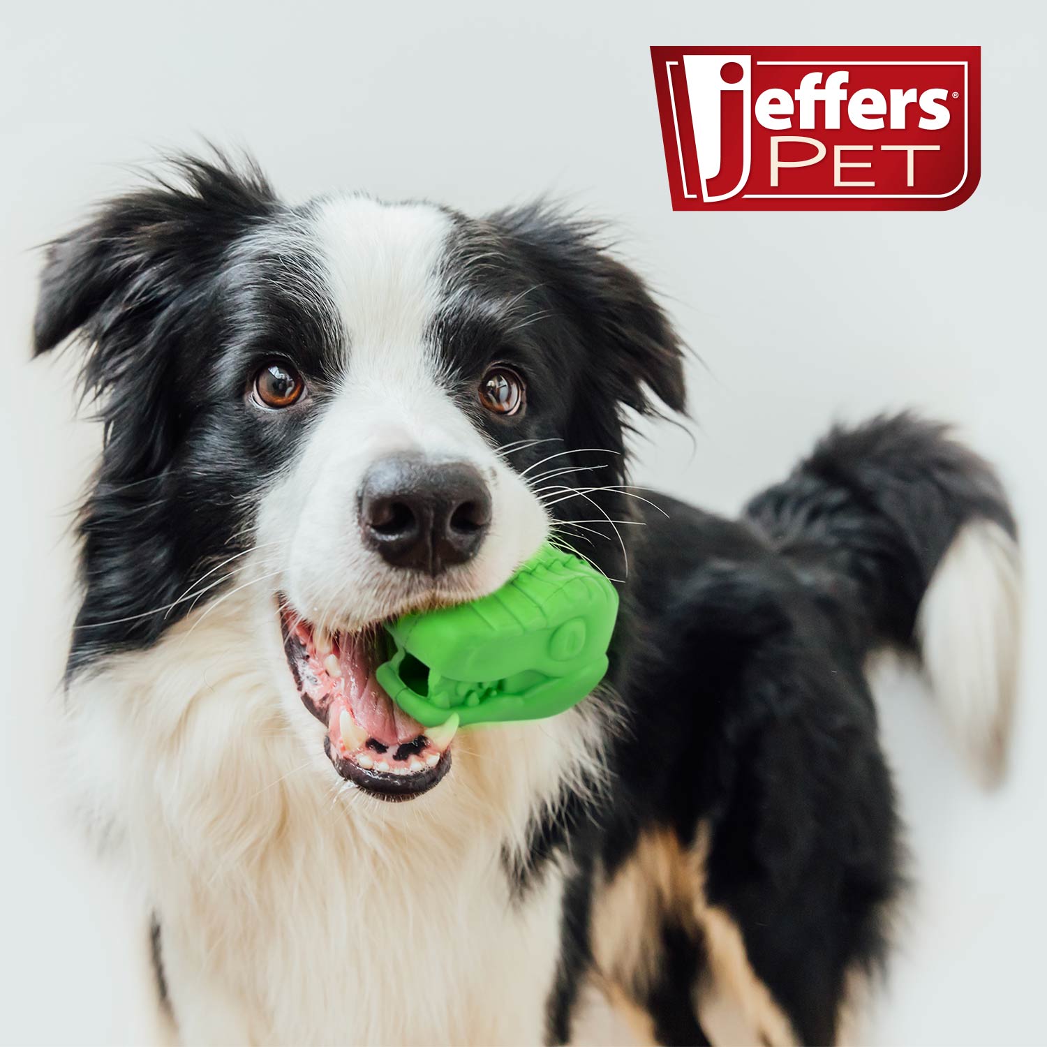 Image of Jeffers T-Rex Natural Rubber Treat Dispensing Dental Dog Chew Toy for Medium Chewers with Vanilla Scent