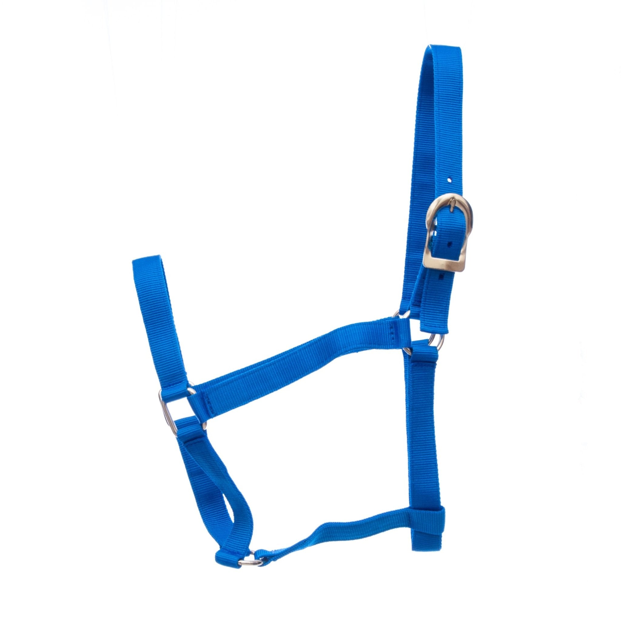 Image of Jeffers Turnout Nylon Horse Halters, 2-Ply, 1