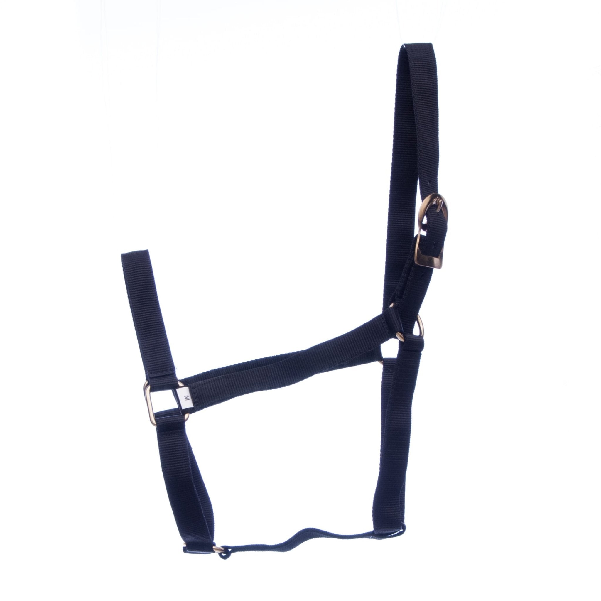 Image of Jeffers Turnout Nylon Horse Halters, 2-Ply, 1