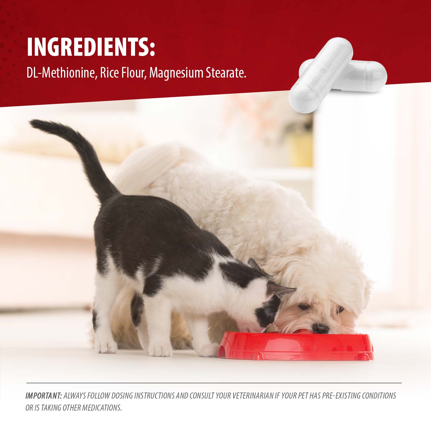 Image of Jeffers Uracid DL-Methionine 0.2g Capsules for Dogs & Cats – Supports Urinary Tract, Reduces Urine Odor, Prevents Stones