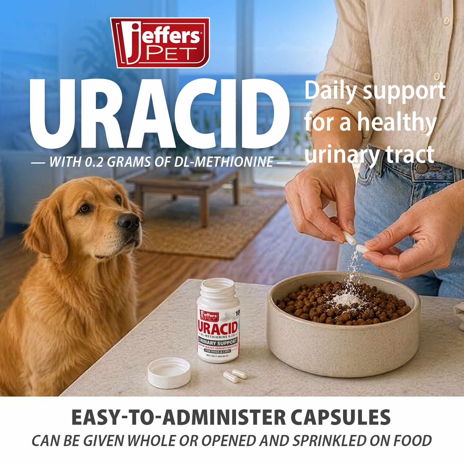 Image of Jeffers Uracid DL-Methionine 0.2g Capsules for Dogs & Cats – Supports Urinary Tract, Reduces Urine Odor, Prevents Stones