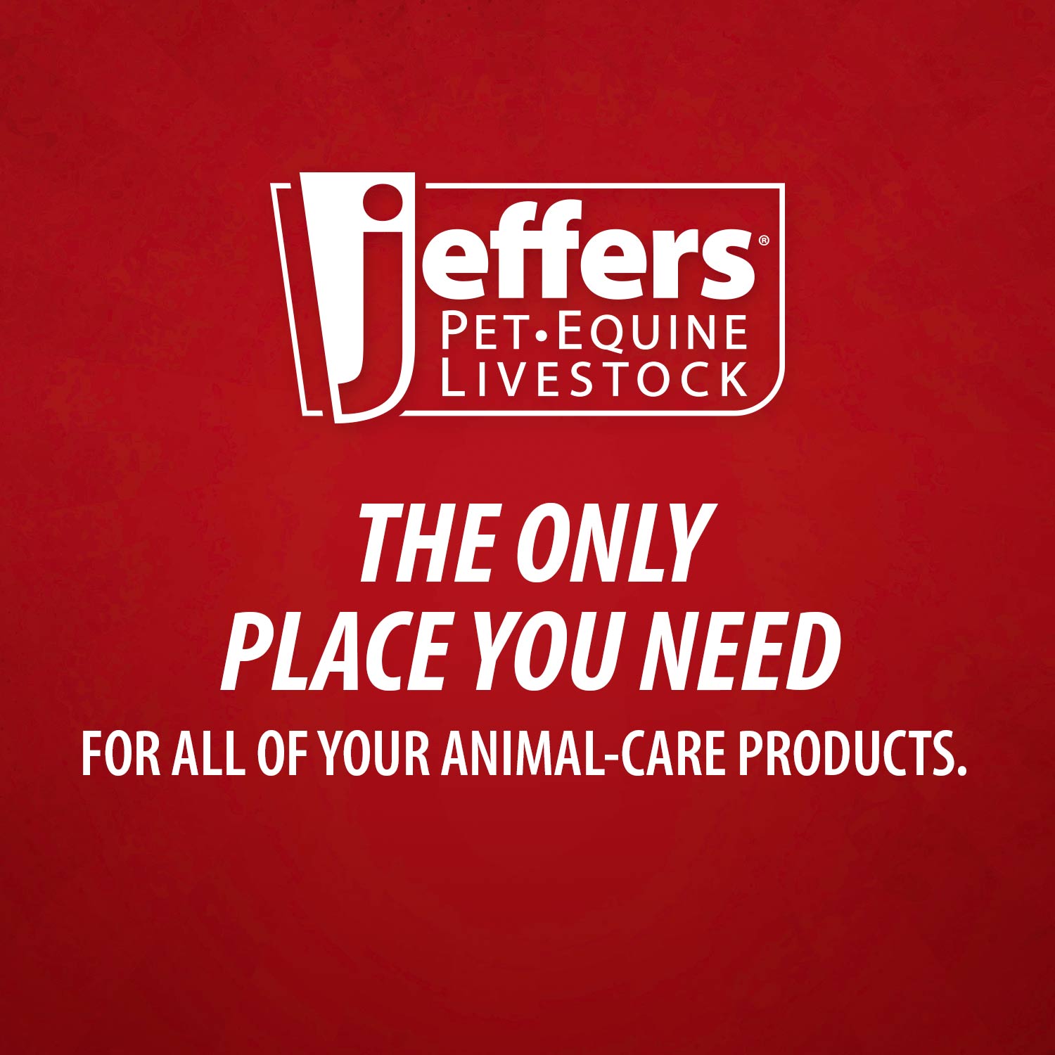 Image of Jeffers Vita-Min Gel with Vit E & B12 for Cattle, Horses, Sheep, Goats & Swine