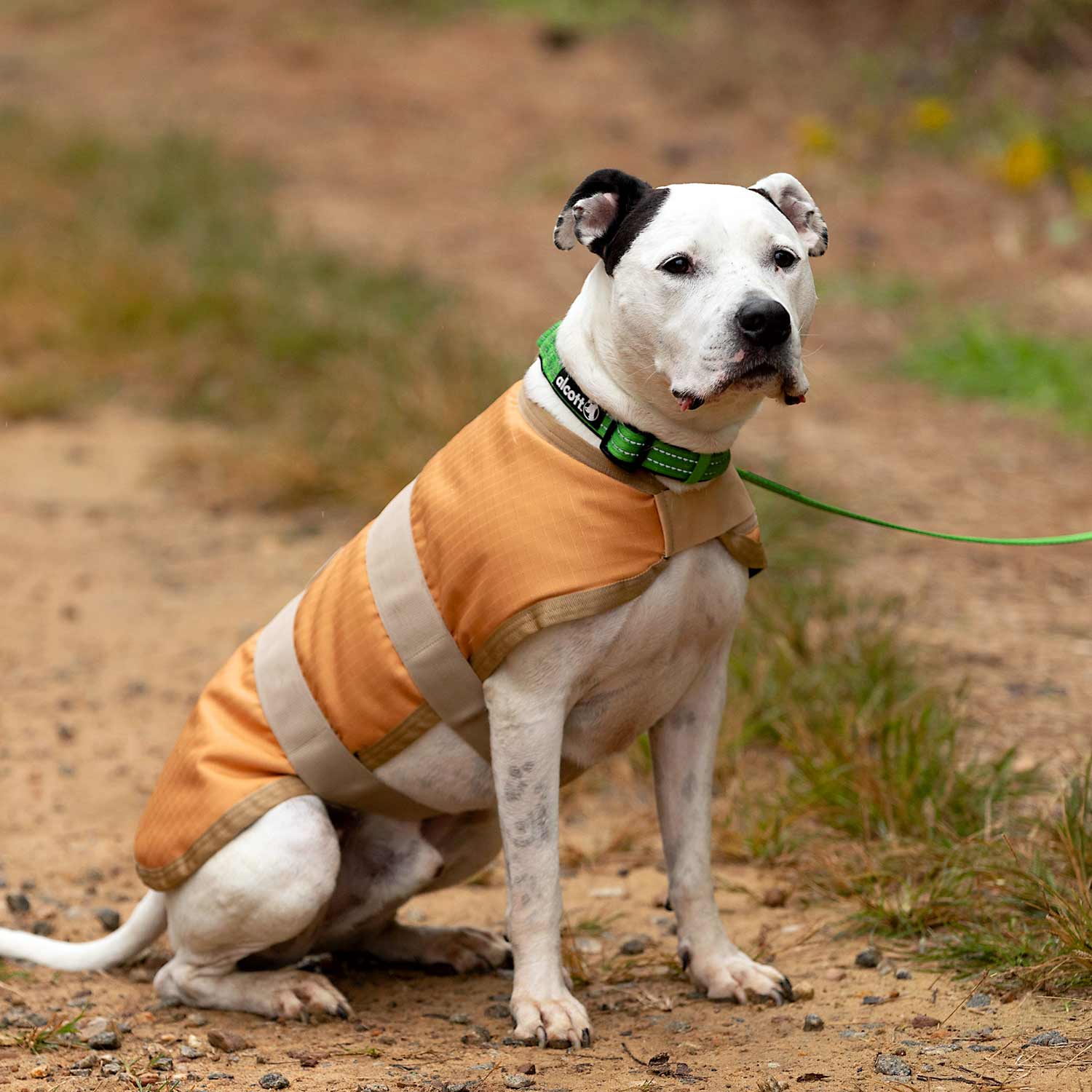 Image of Jeffers Waterproof Breathe-Comfort 600D Ripstop Dog Blanket, 200 Gram