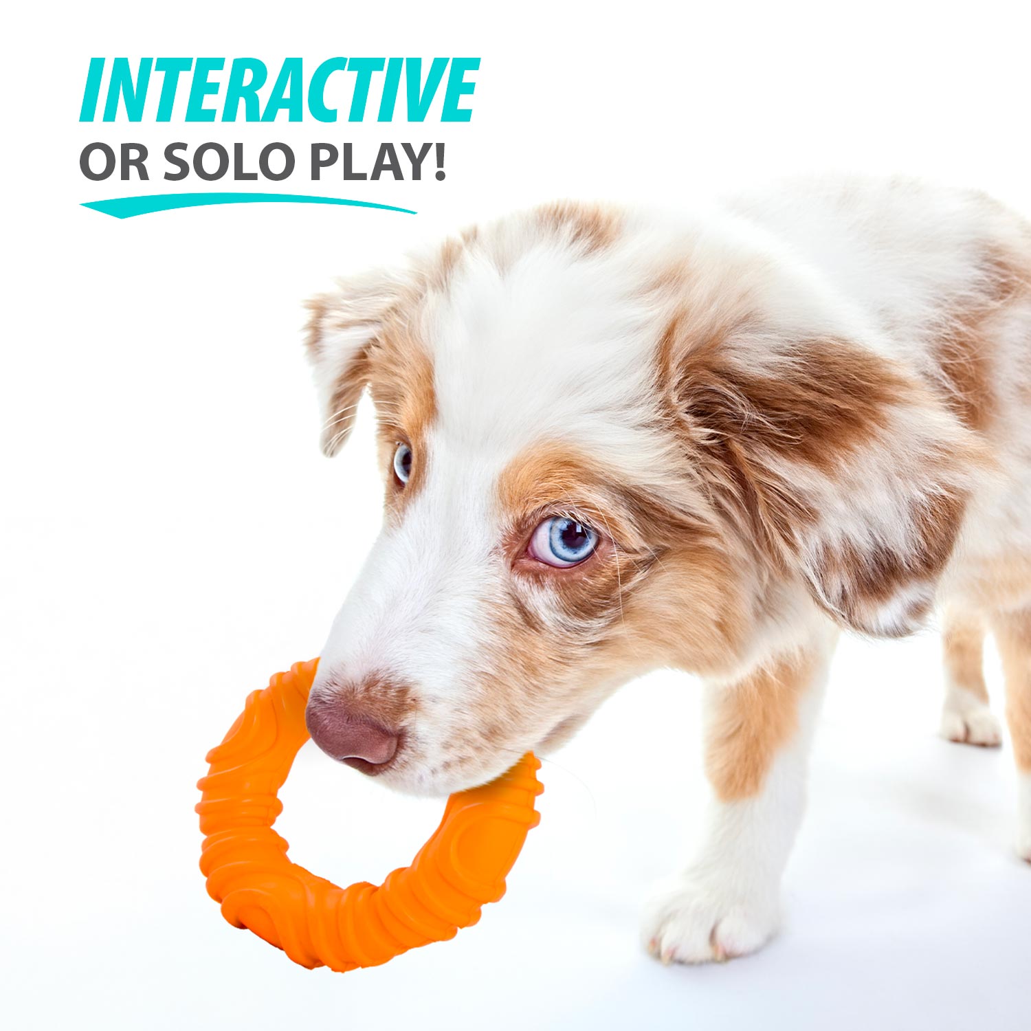 Image of Jeffers Wavy Ring Tugger Natural Rubber Dog Chew Toy for Tug, Fetch & Dental Support