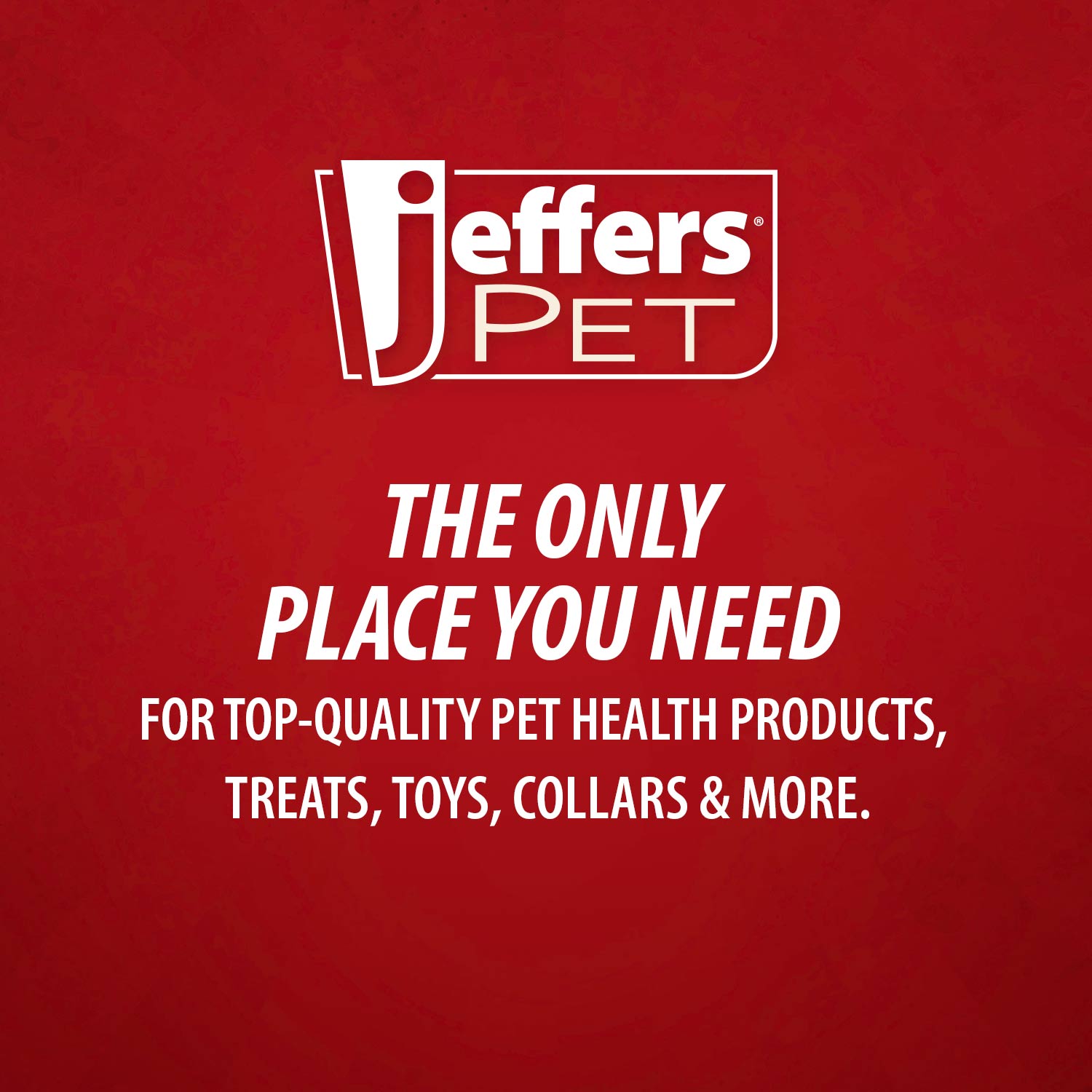 Image of Jeffers Rolled Leather Dog Collars with Brass Hardware