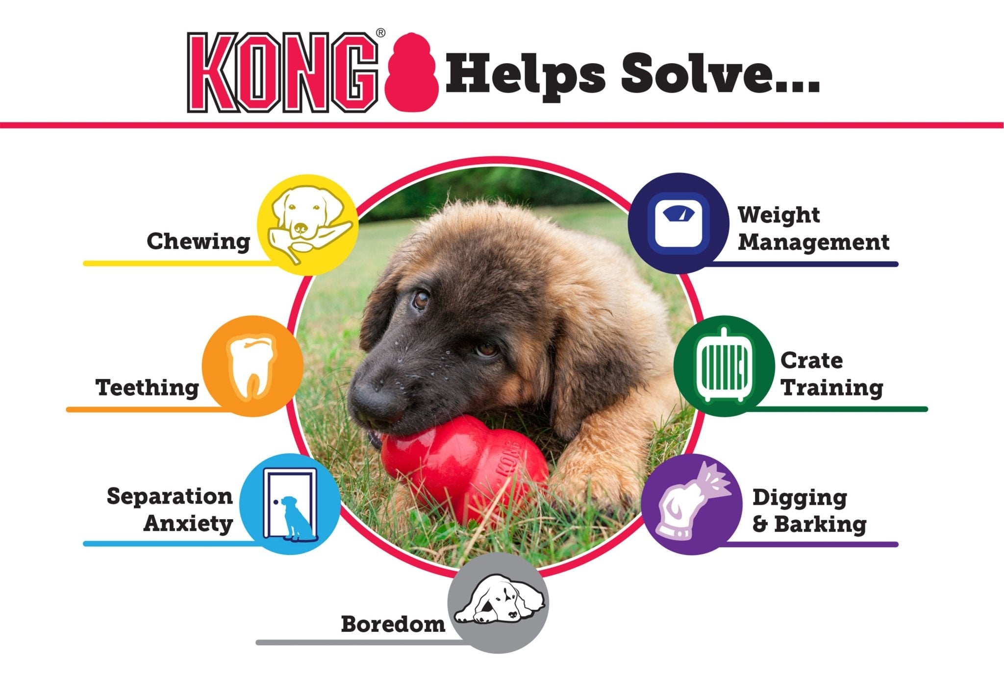 Image of KONG Classic Dog Toy