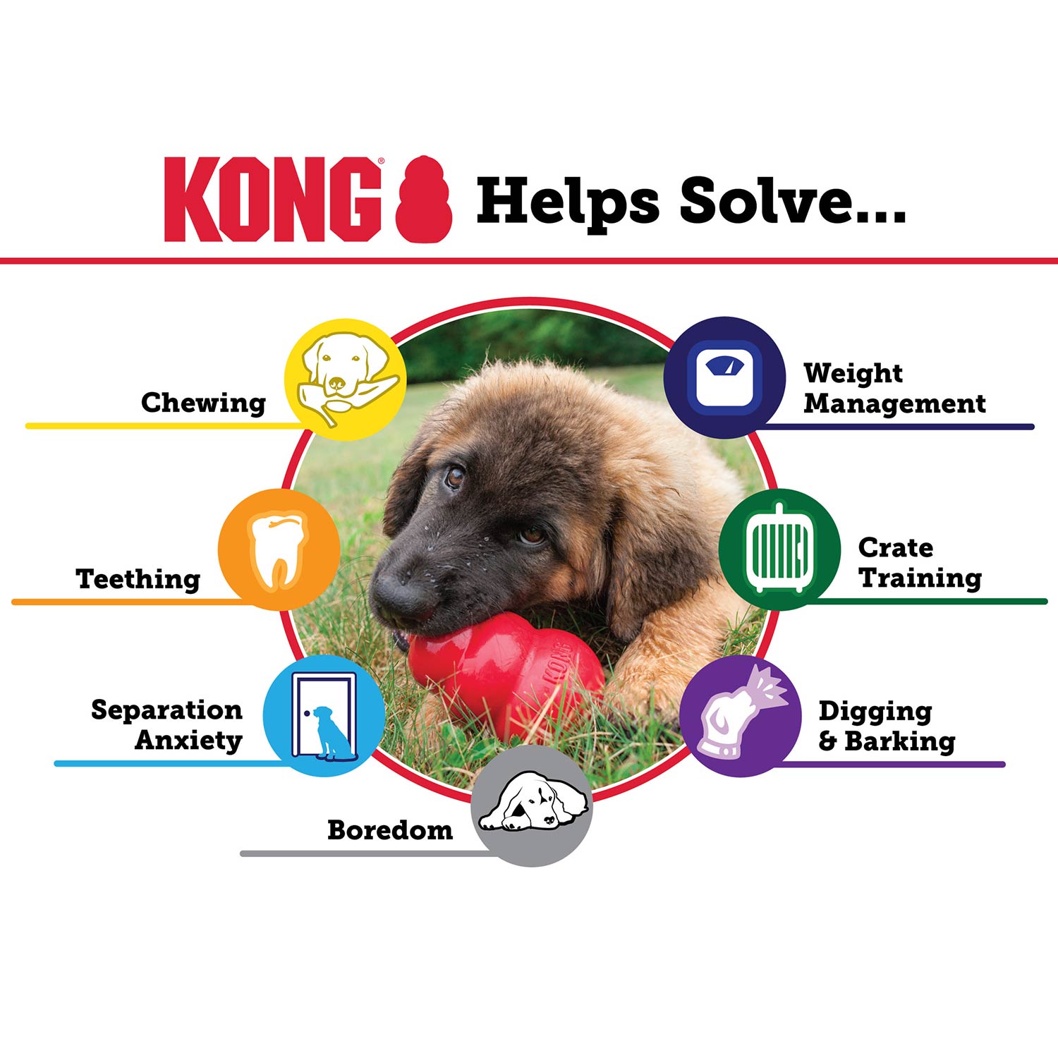 Image of KONG Classic Dog Toy