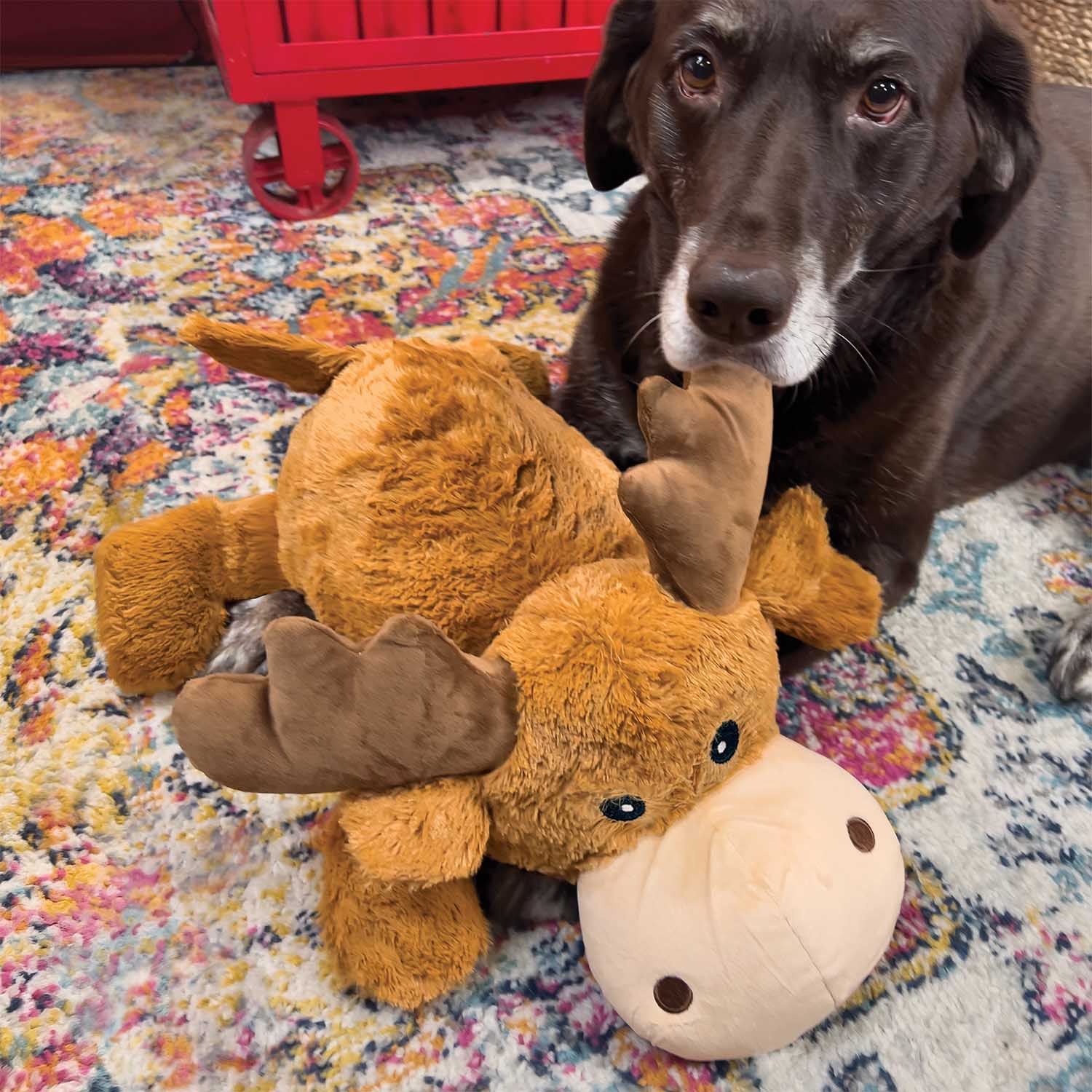 Image of Kong Cozie Jumbo Marvin Dog Toy with Squeaker, XLarge