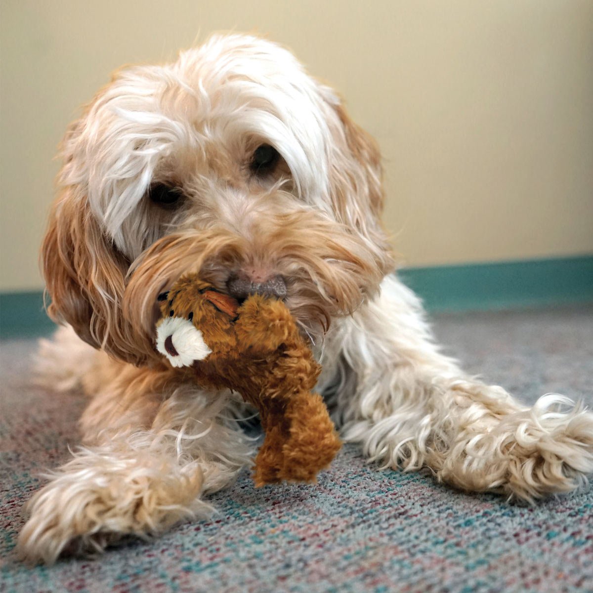 Image of KONG Dr. Noyz X-Small Plush Dog Toys – Stuffing-Free, Soft Cuddle Toy with Removable and Extra Squeaker for Small Dogs