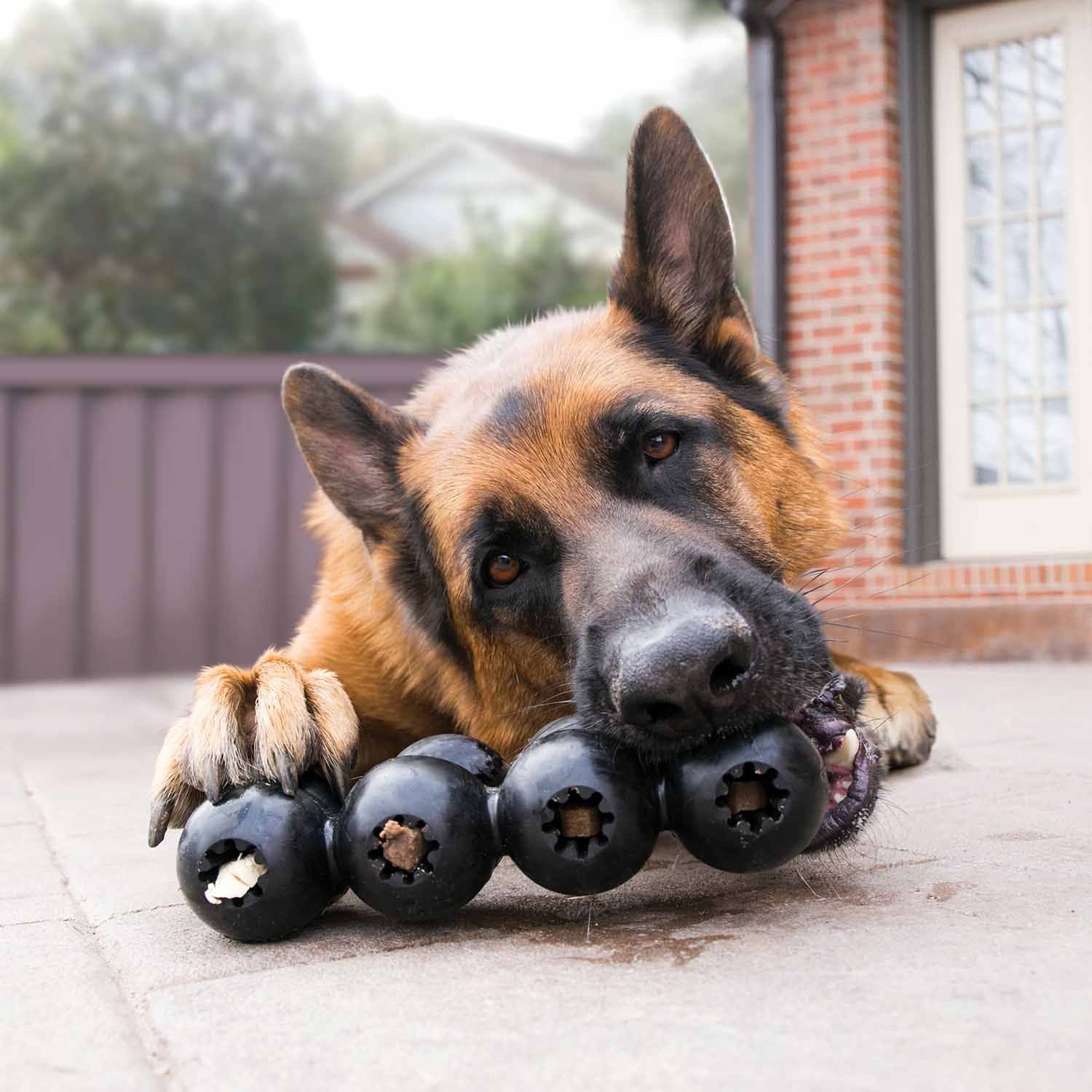 Image of KONG Extreme Goodie Ribbon Dog Chew Toy