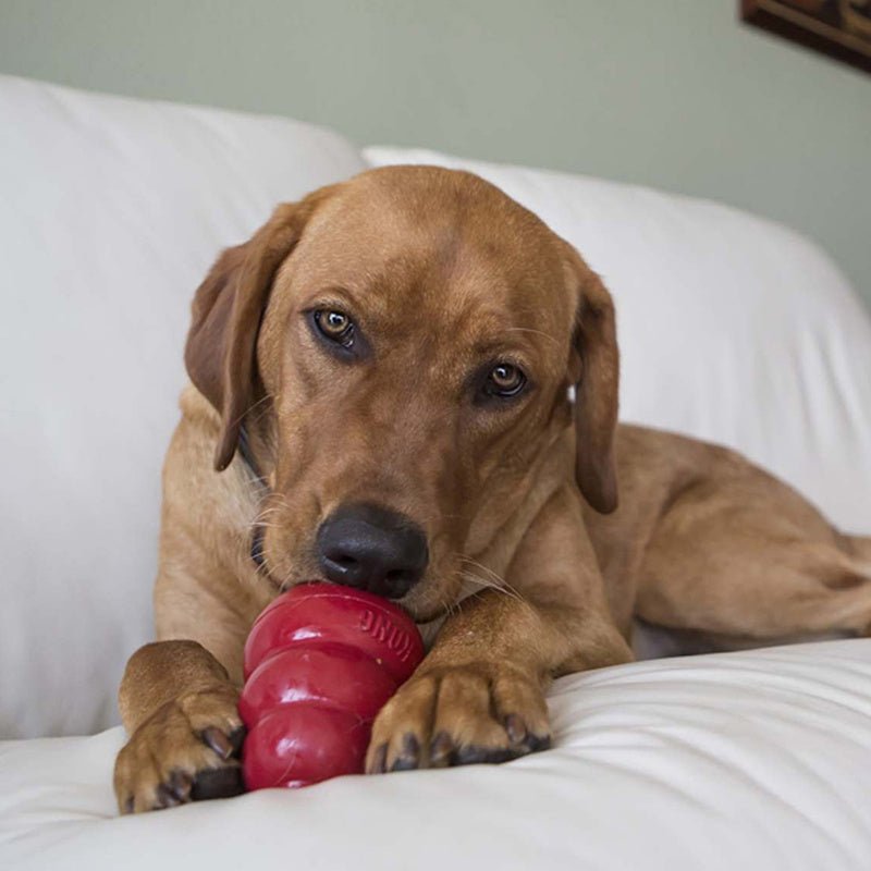 Image of KONG Holiday Easy Treat® Turkey & Sweet Potato – Stuffable Dog Treat, Low-Calorie, Perfect for KONG Toys