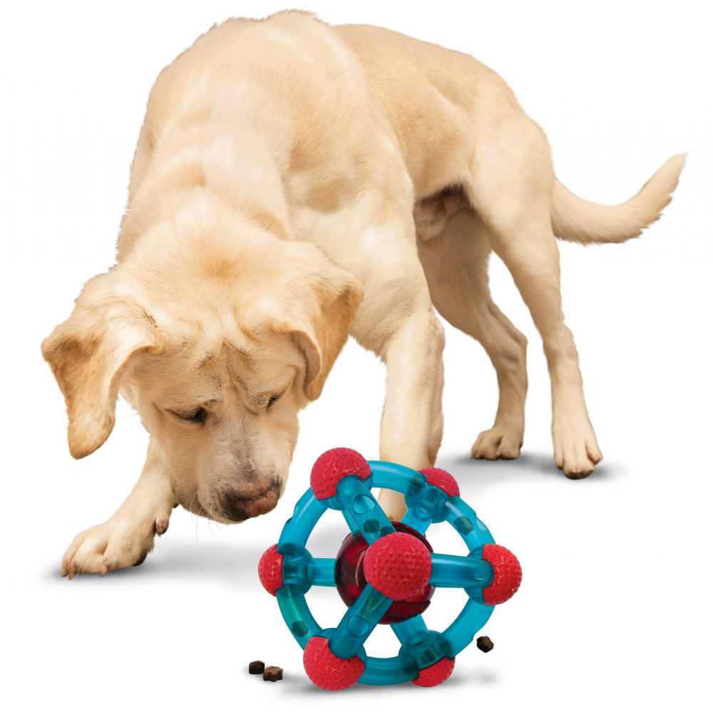 Image of KONG Rewards Tinker Treat Dispensing Dog Toy