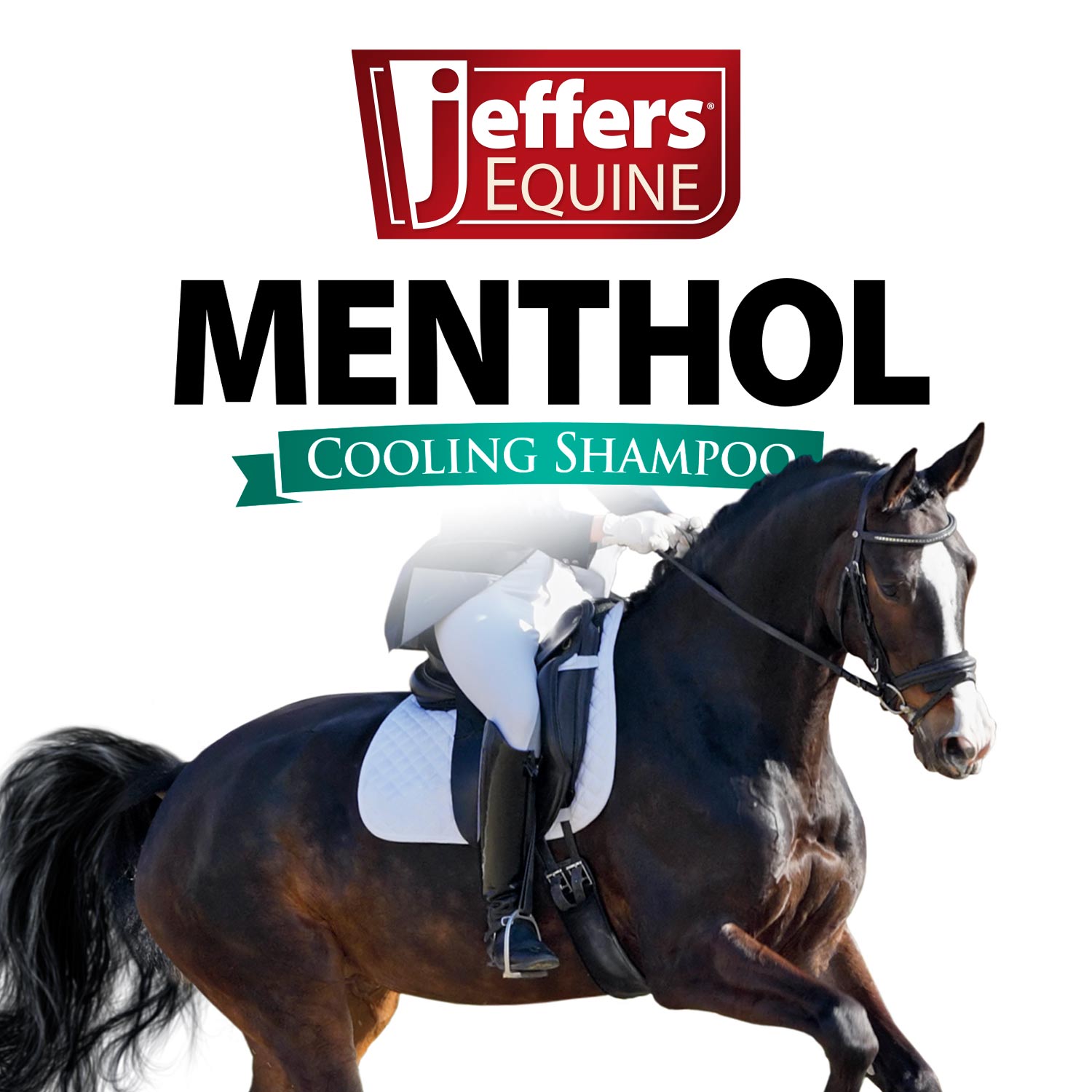 Image of Jeffers Equine Menthol Cooling Shampoo for Horses