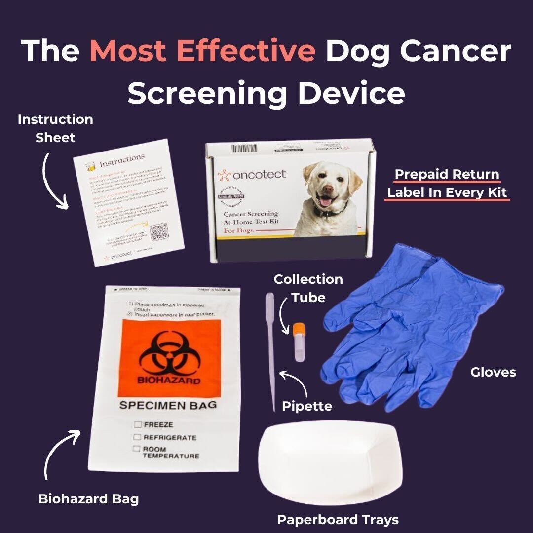 Image of At-Home Dog Cancer Screening Test Kit