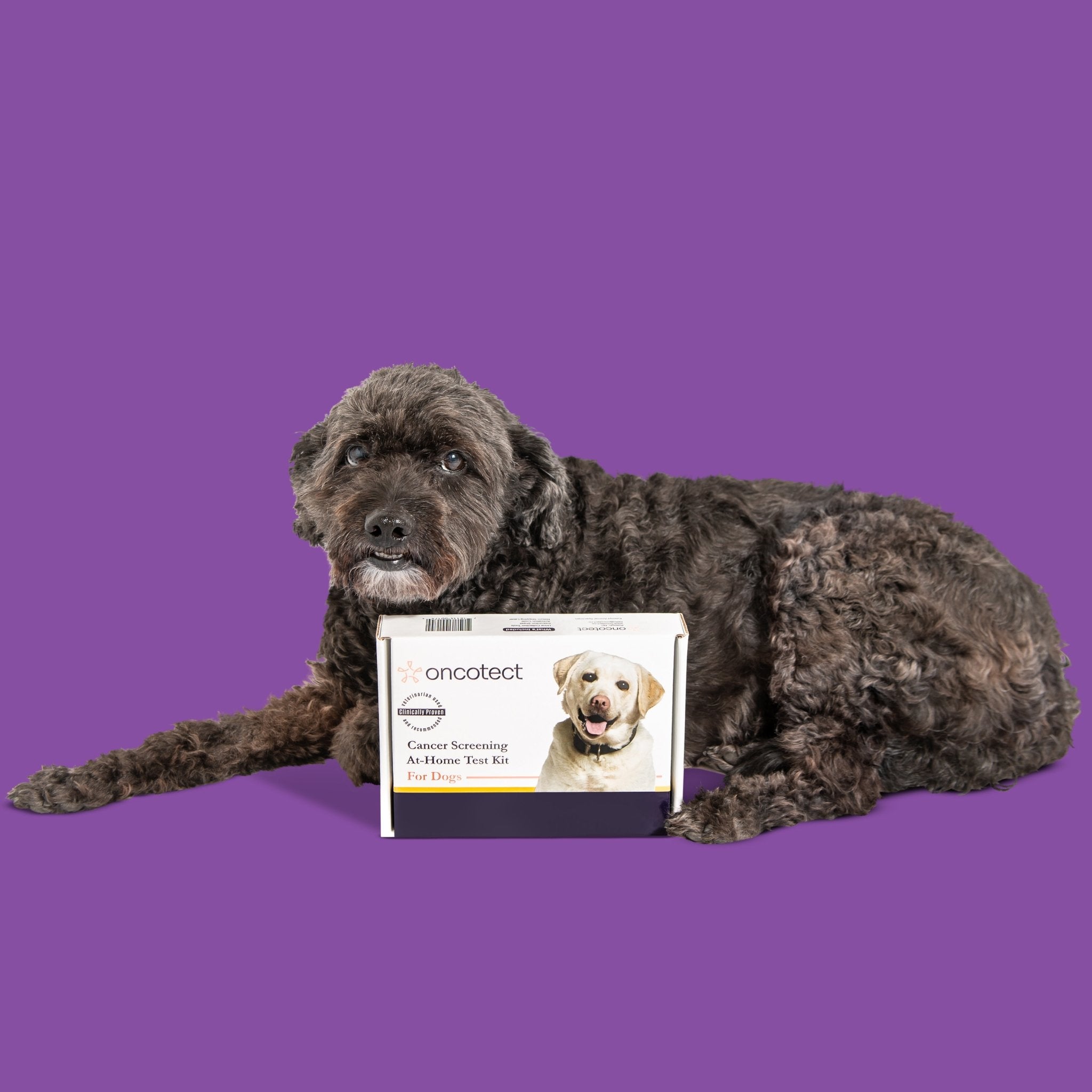 Image of At-Home Dog Cancer Screening Test Kit