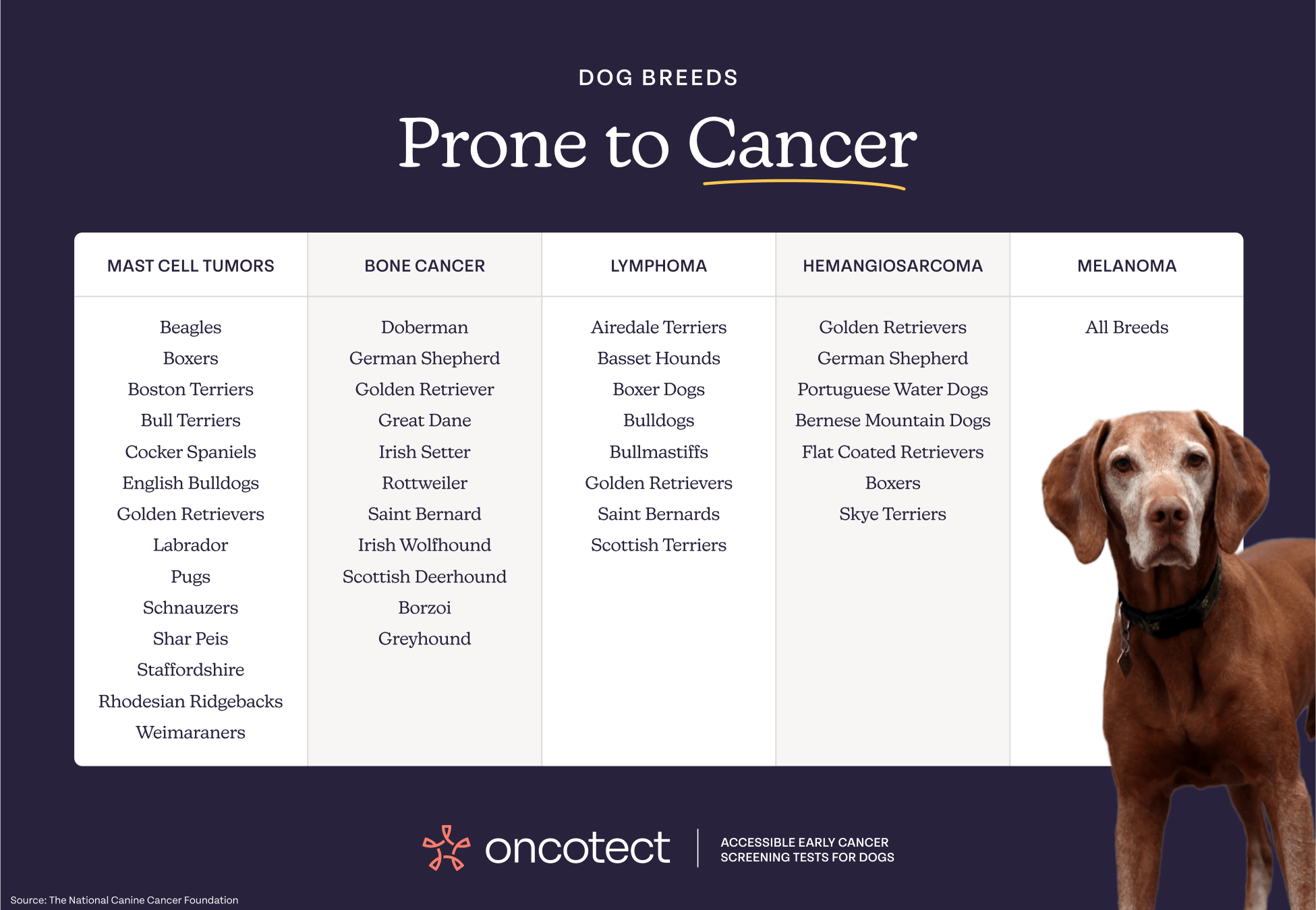 Image of At-Home Dog Cancer Screening Test Kit