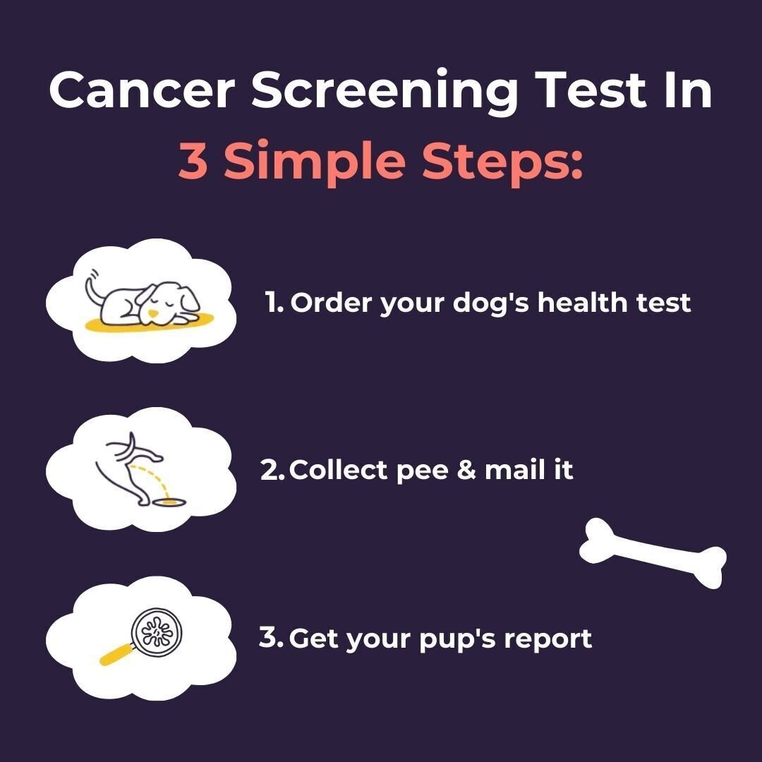 Image of At-Home Dog Cancer Screening Test Kit