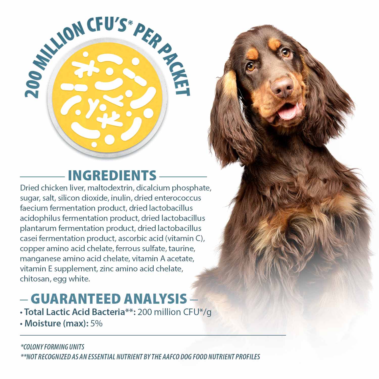 Image of Pet's Choice Gut Instincts Probiotic Powder Packets for Dogs – Daily Digestive & Immune Support, 30 Count