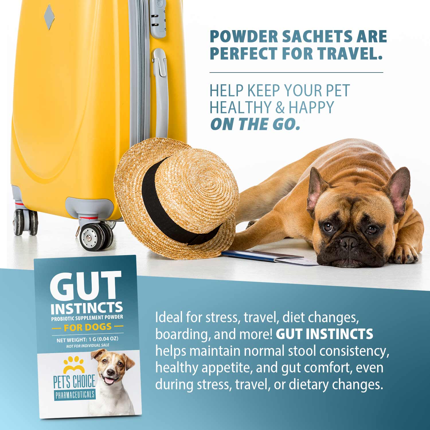 Image of Pet's Choice Gut Instincts Probiotic Powder Packets for Dogs – Daily Digestive & Immune Support, 30 Count