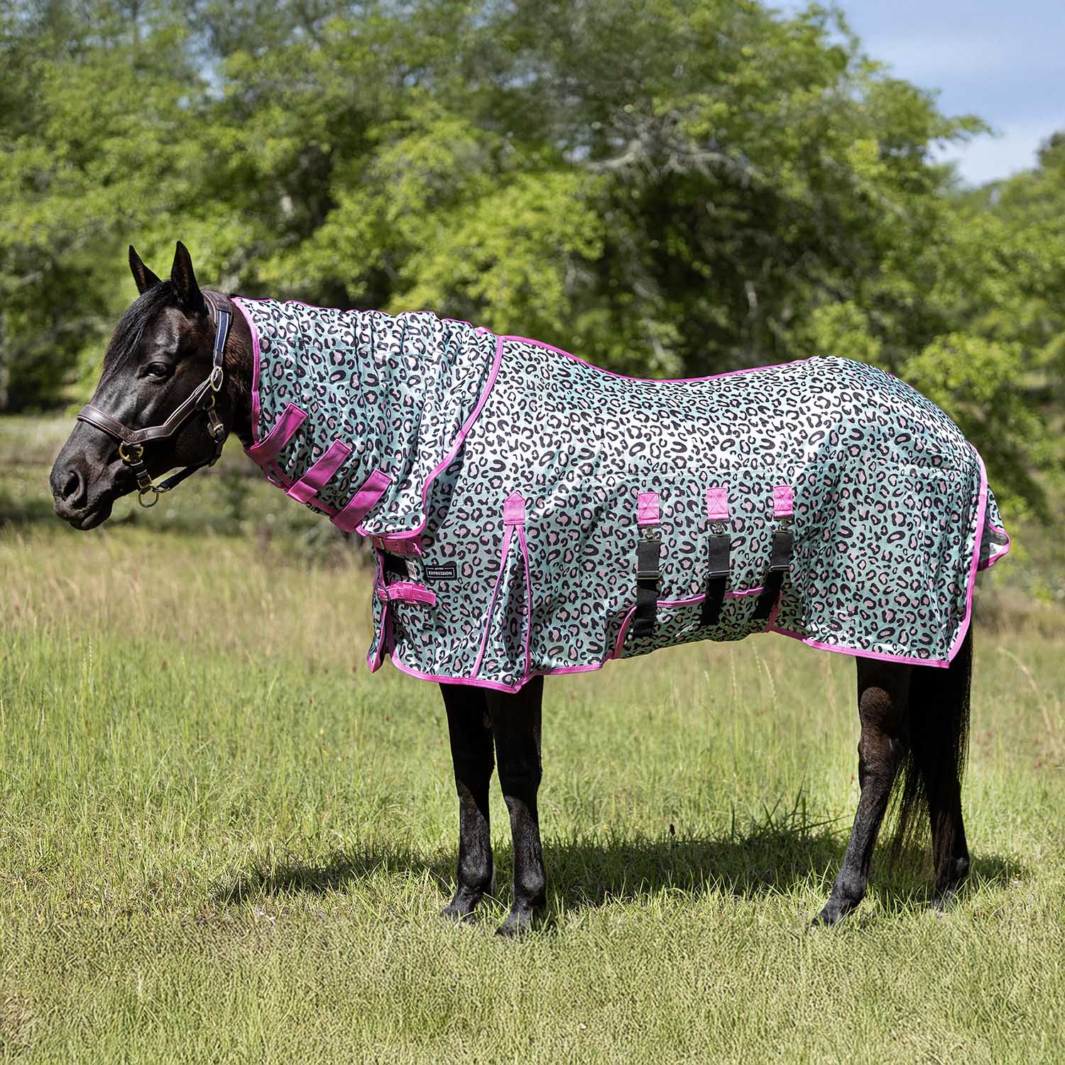 Image of Jeffers Expression Softmesh Combo Neck Horse Fly Sheet